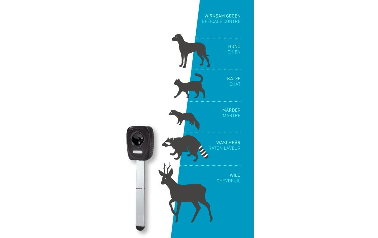 Windhager Tiervertreiber – 8 × 11,5 cm – schwarz – für Hunde, Katzen, Marder