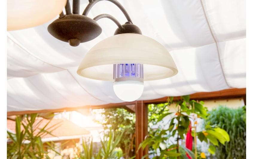 Windhager Insektenfalle – Grau – UV-Lampe, Deckenmontage – Für Fluginsekten