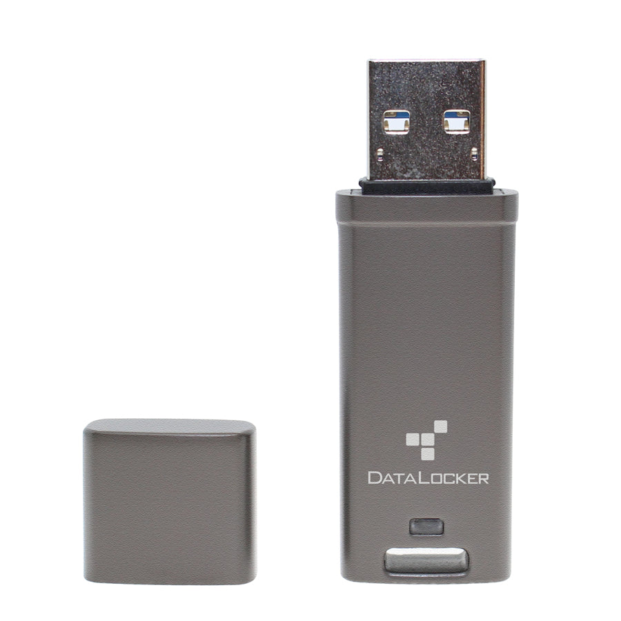 DataLocker DL GO – 4 GB USB Typ-A 3.2 Gen 2, 160/120 MB/s, 256-bit AES-XTS, FIPS 197, IP68