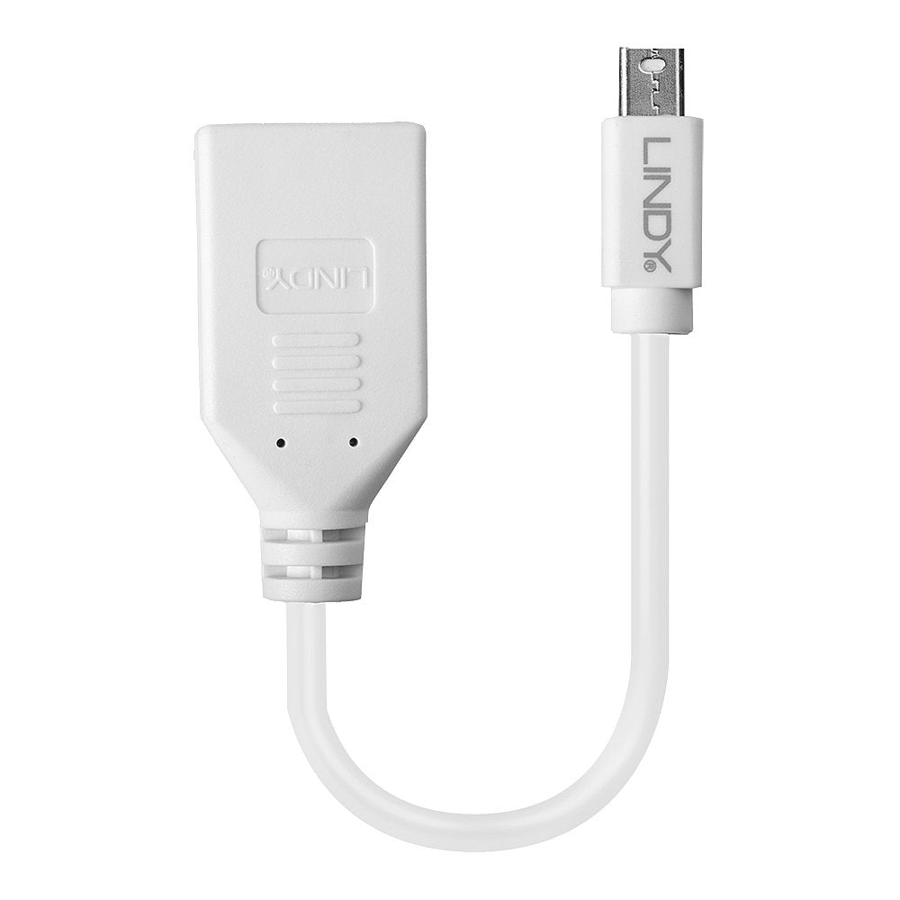 Lindy Mini DisplayPort auf DisplayPort Adapter – 20 cm, geschirmt