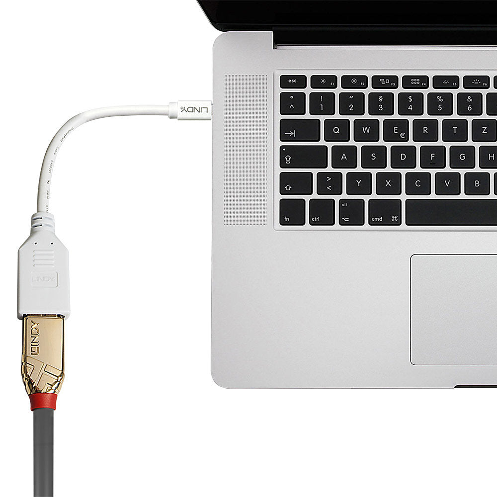 Lindy Mini DisplayPort auf DisplayPort Adapter – 20 cm, geschirmt