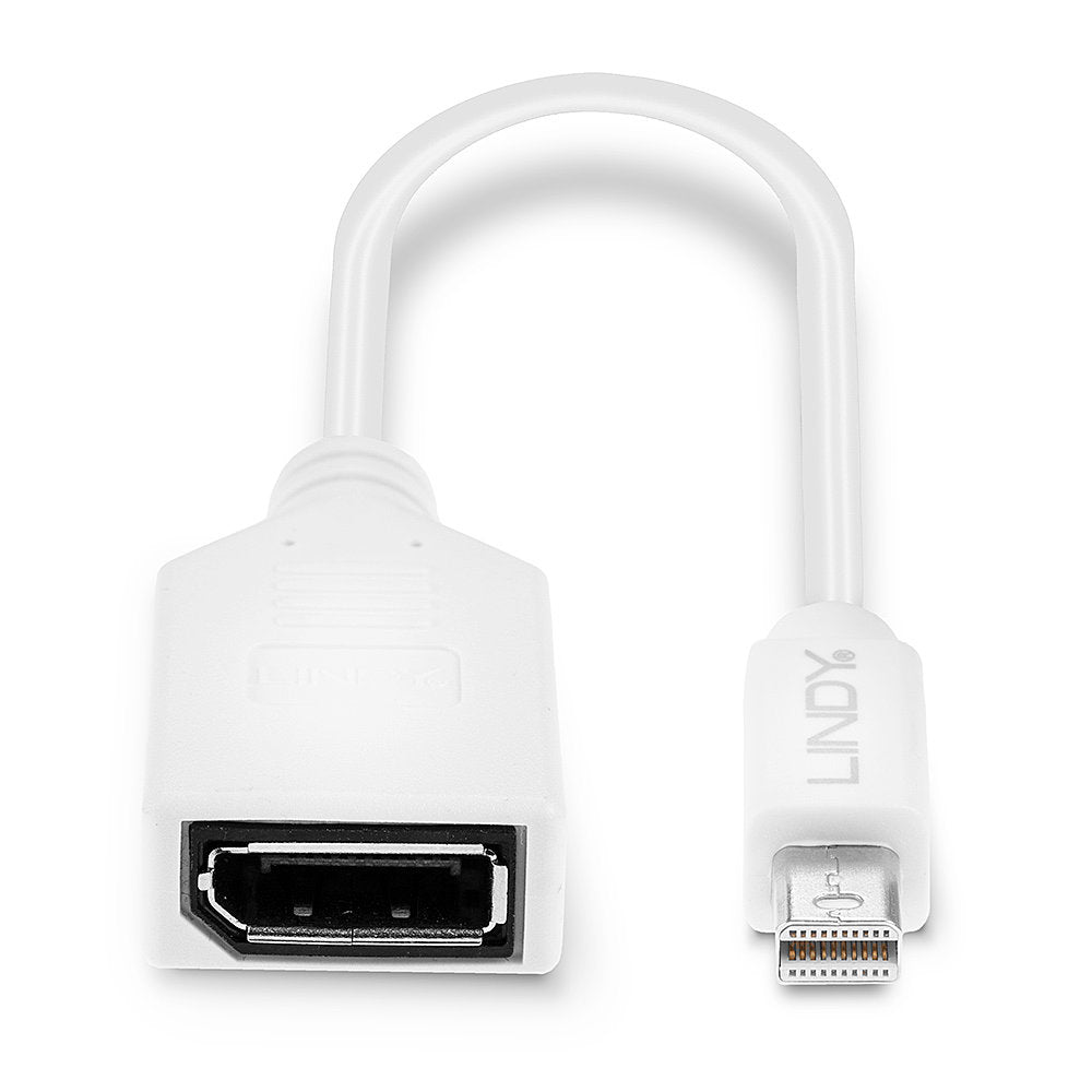 Lindy Mini DisplayPort auf DisplayPort Adapter – 20 cm, geschirmt