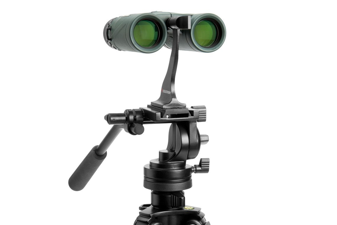 Celestron Kompaktfernglas Nature DX – 8×32 mm, grün