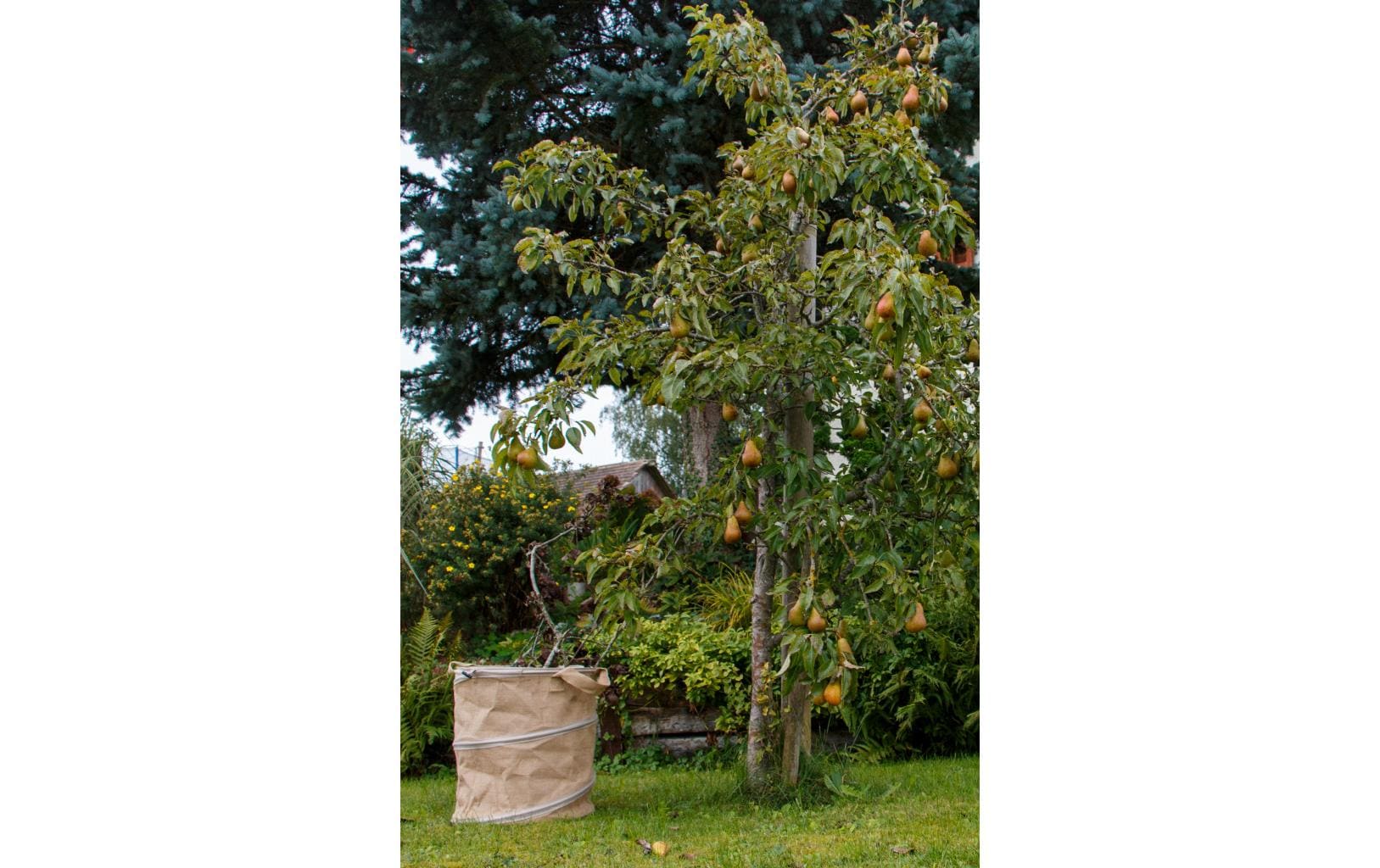 Colibri Sammelsack – 172 l, Jute, beige, Ø 560 × 700 mm, 1 Stk