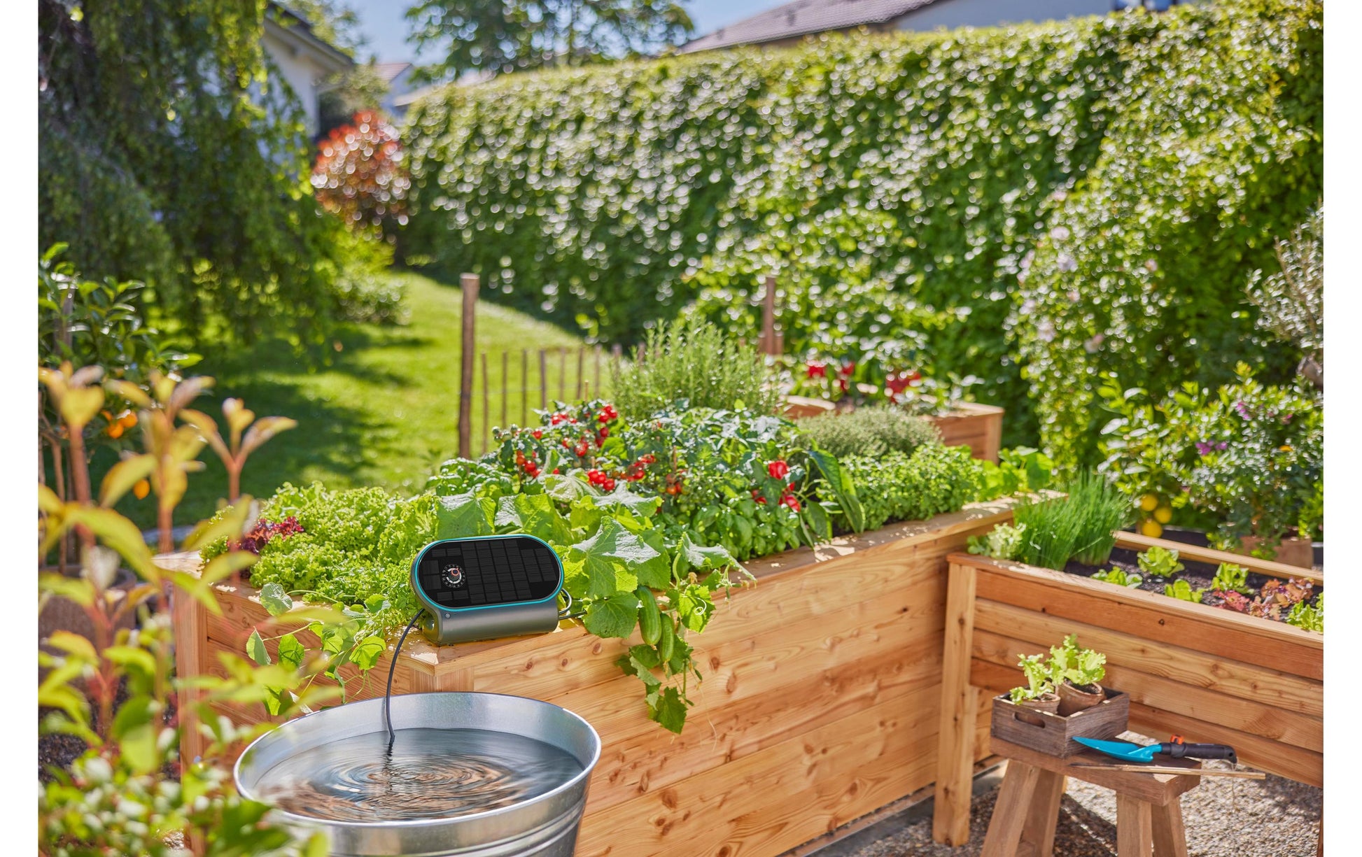 Gardena AquaBloom L Solar-Bewässerungs-Set 20 m Schlauch 4,6 mm – 30 Tropfer, 10 T-Stücke – mit Akku