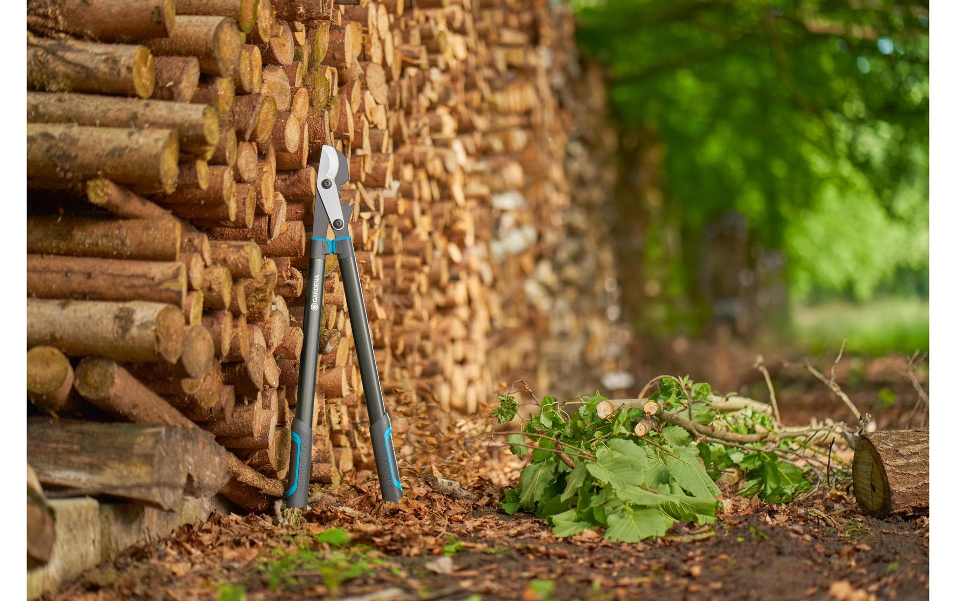 Gardena EnergyCut pro L – Astschere 50 mm, Bypass, Stahl, Schwarz, Grau
