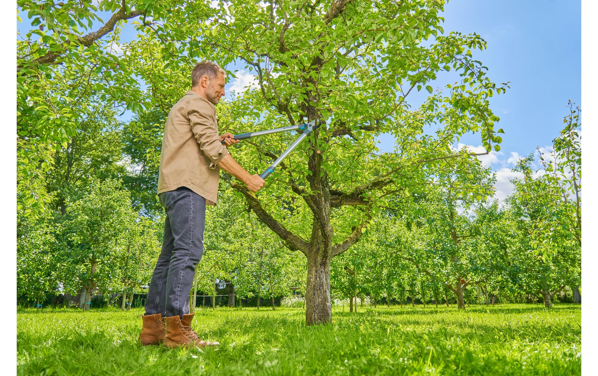 Gardena EasyCut L – Astschere 45 mm, Stahl, Bypass, Grün, Grau