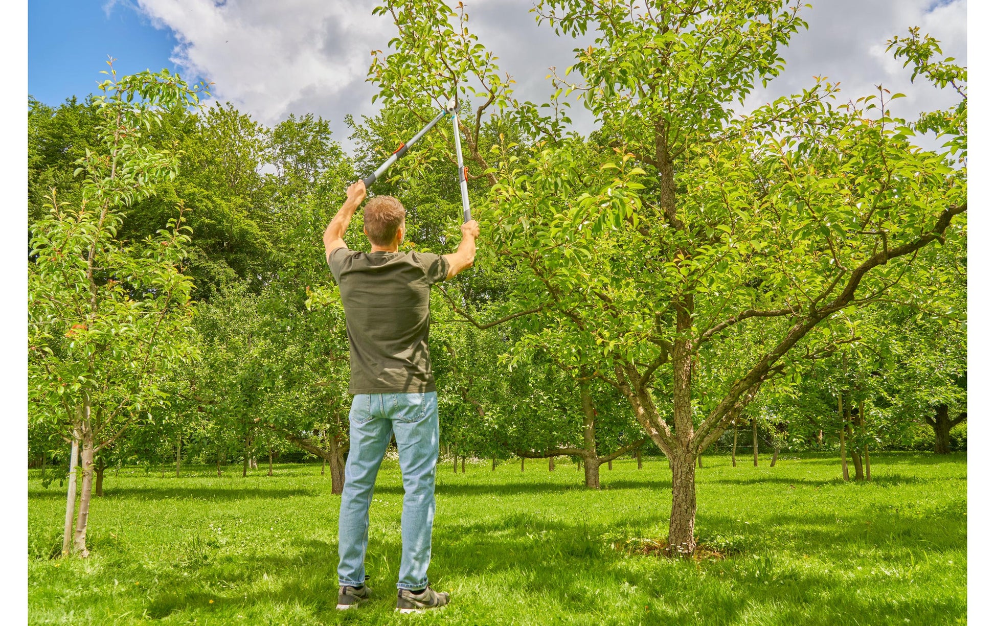 Gardena TeleCut Basic – Gartenschere 42 mm