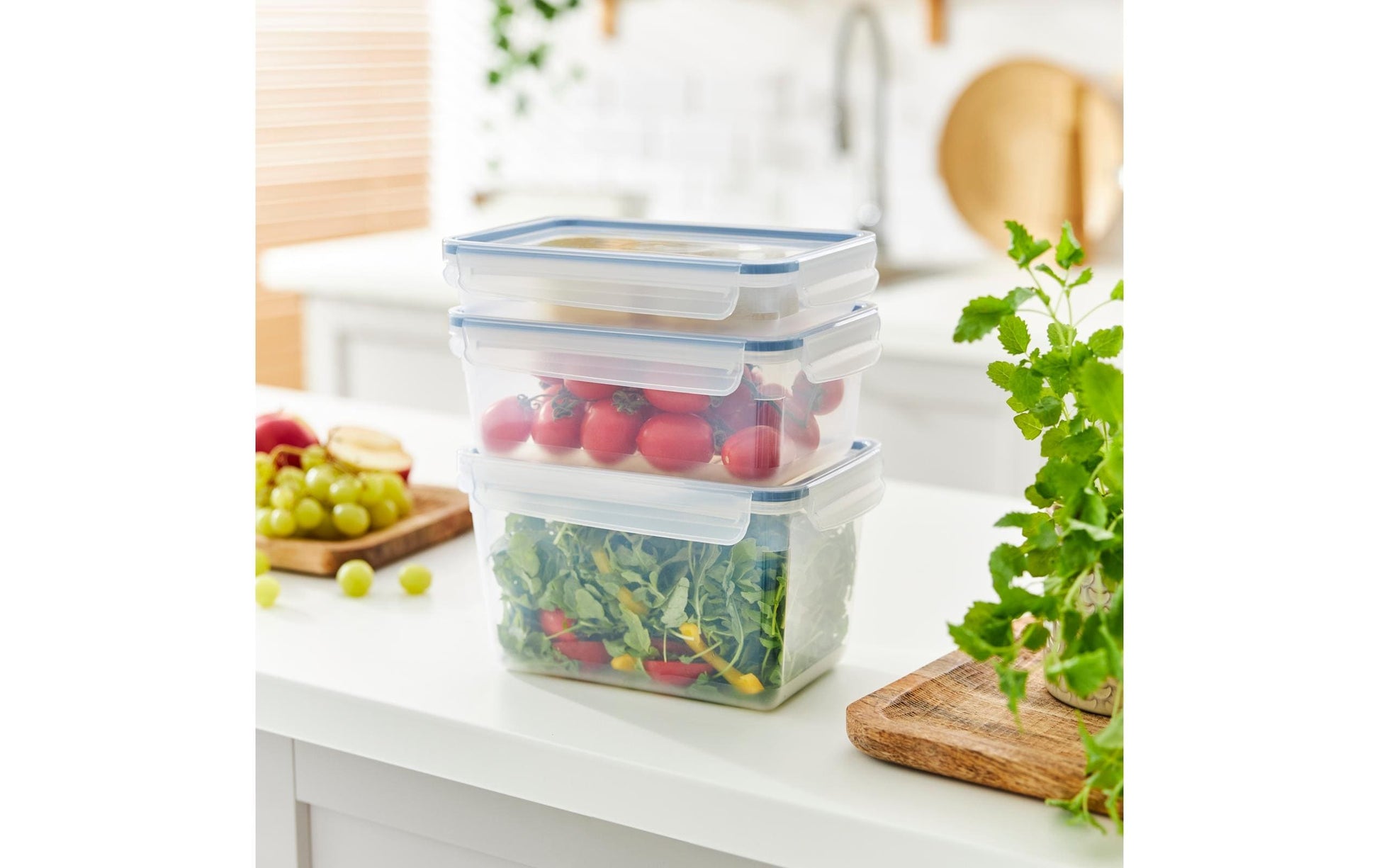 Rotho Kühlschrankdose Clic & Lock – 2 l – rechteckig – 23,9 × 9,2 × 16 cm – PP – transparent