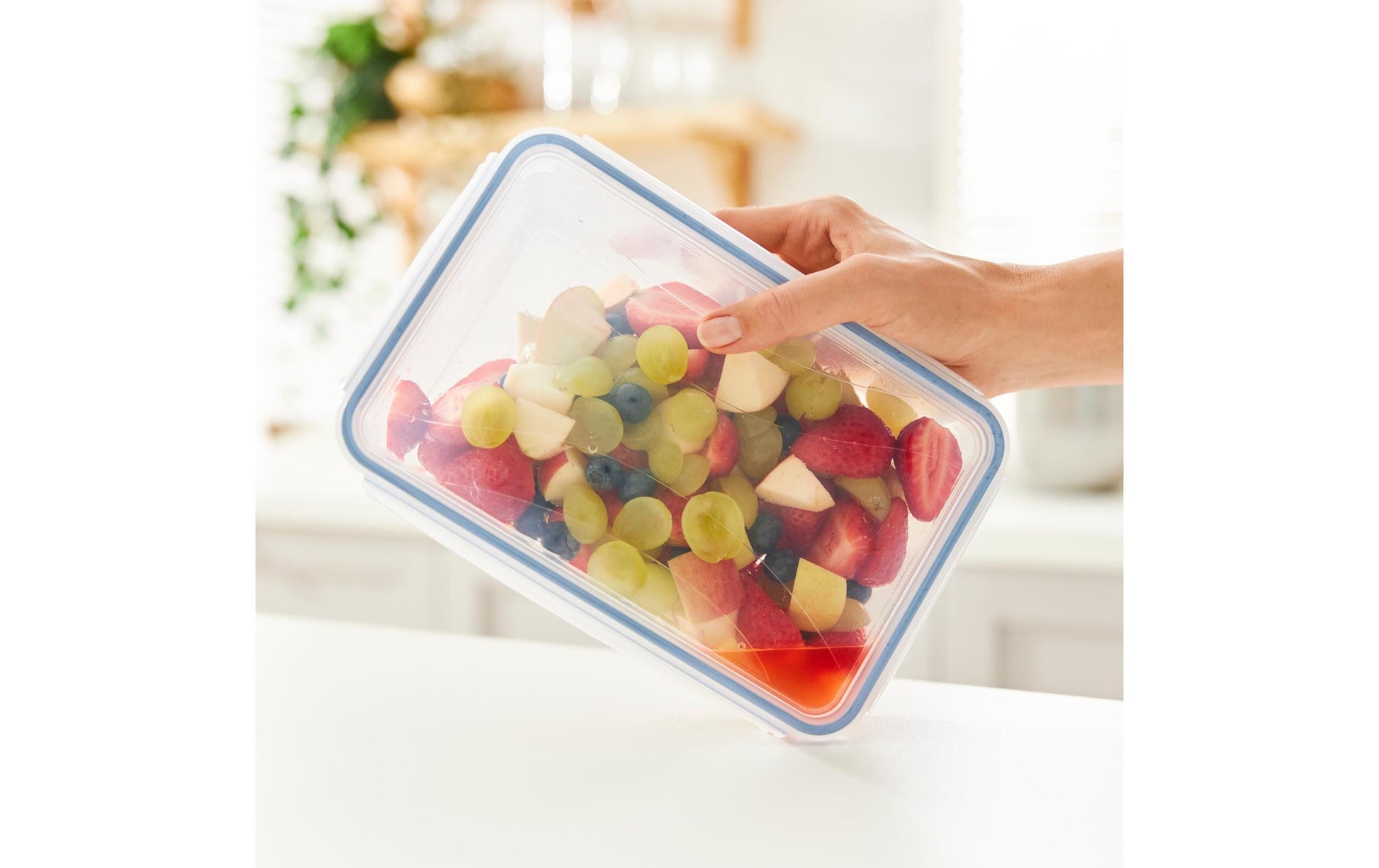 Rotho Kühlschrankdose Clic & Lock – 1,5 l – rechteckig – 23,9 × 7,1 × 16 cm – PP – transparent