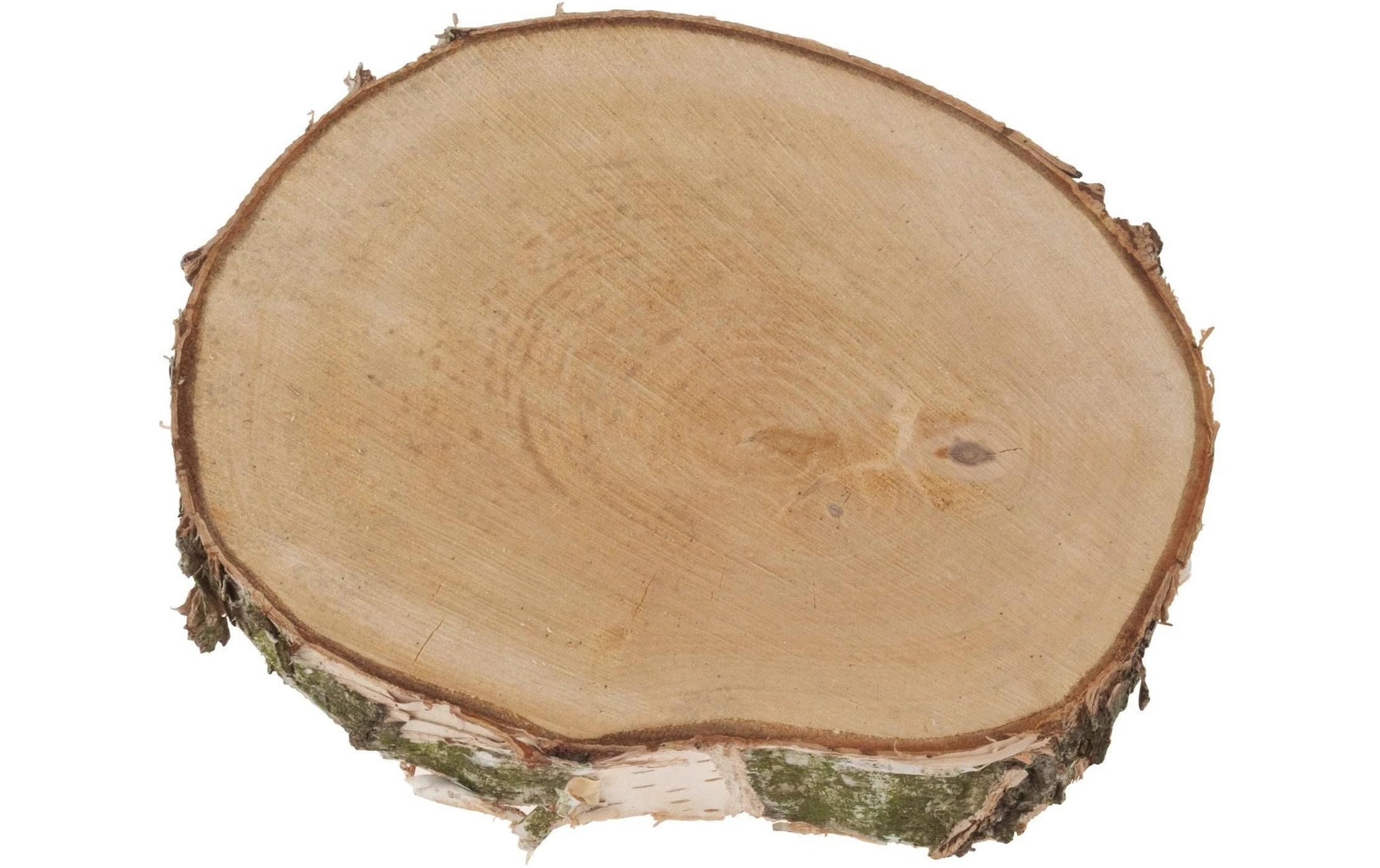 Opiflor Holzrohling, Birke, Natur, Ø 30 cm × 3,5 cm, 1 Stk., rund