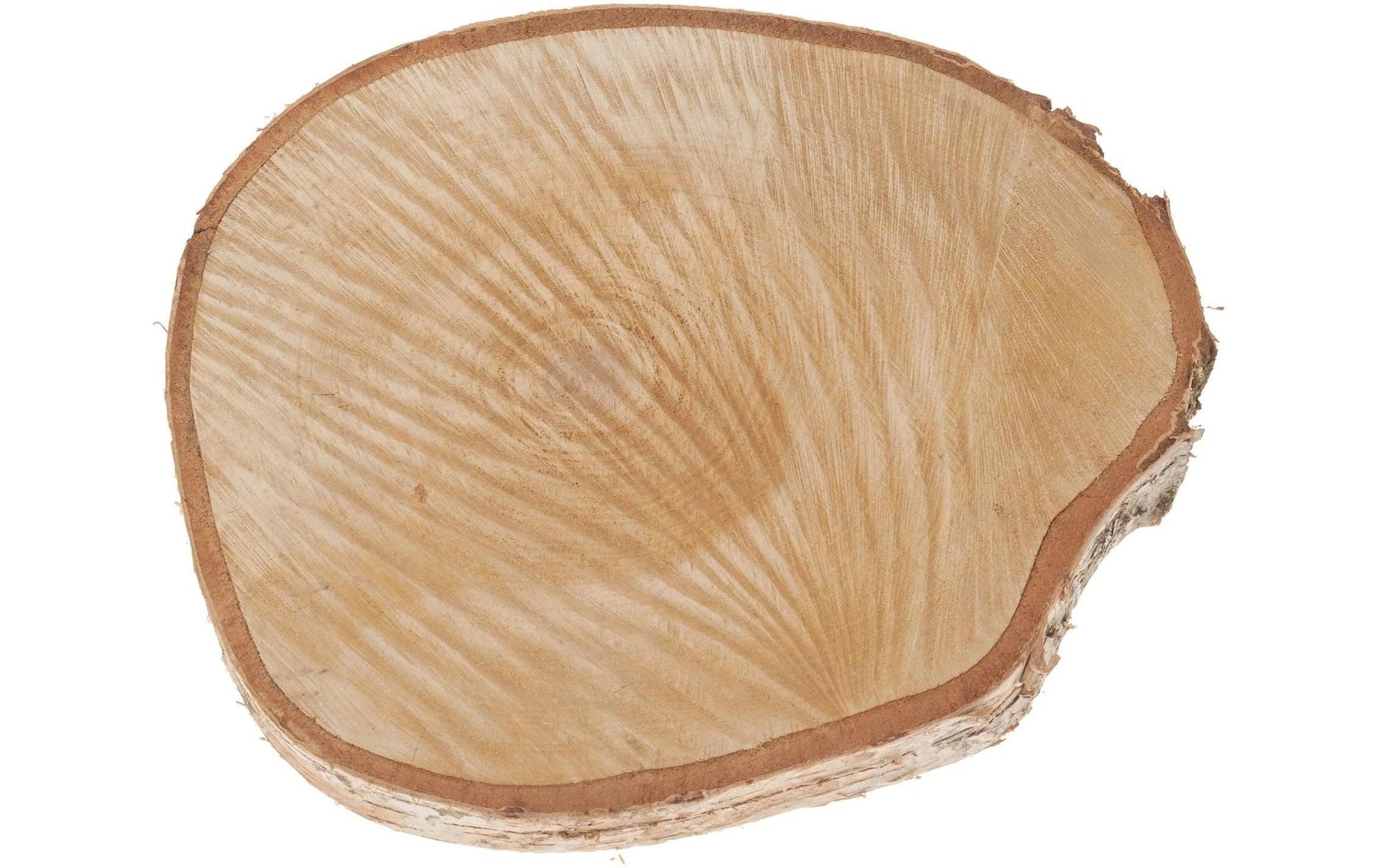 Opiflor Holzrohling, Birke, Natur, Ø 40 cm × 4 cm, 1 Stk.