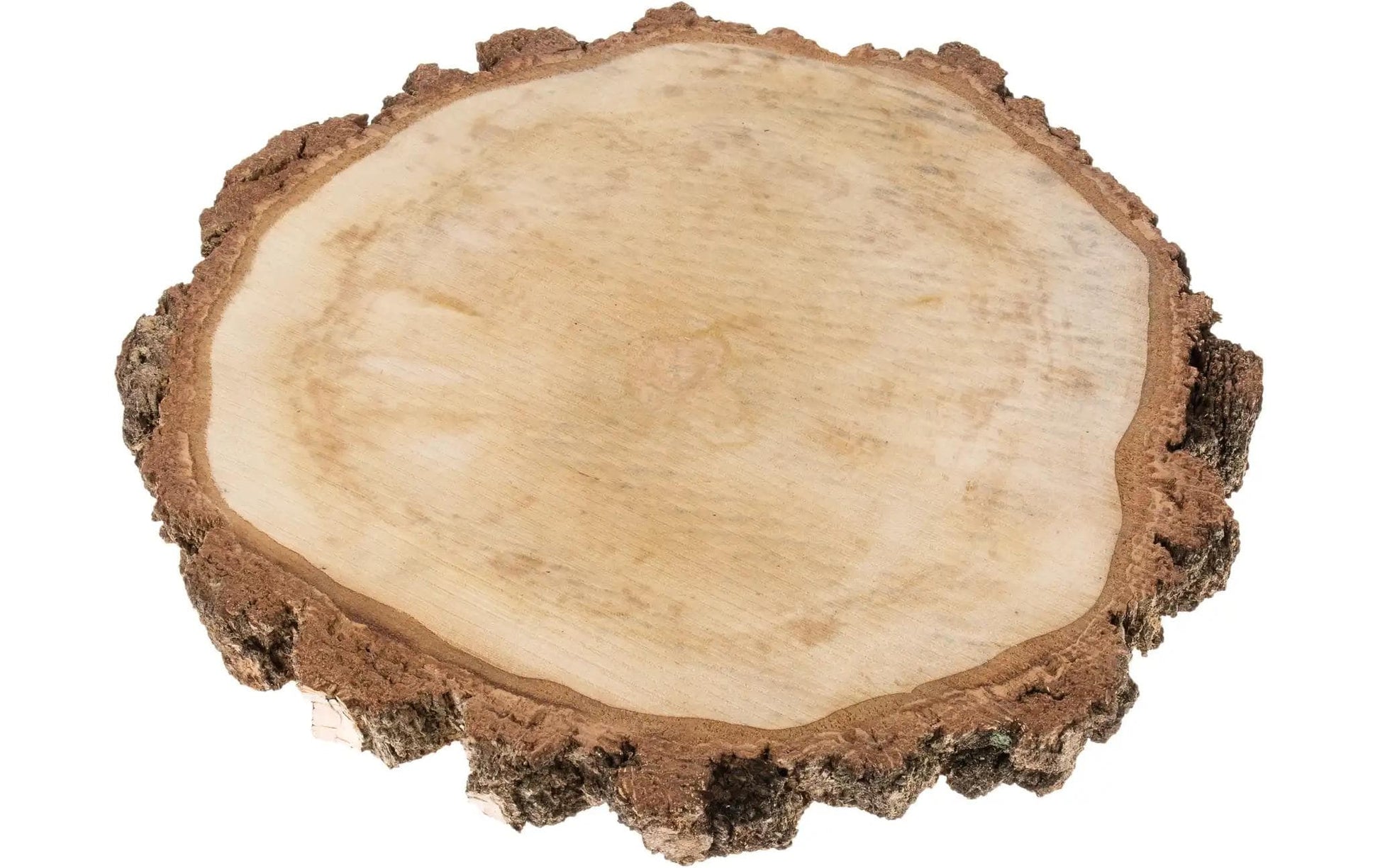 Opiflor Holzrohling, Birke, Natur, Ø 40 cm × 4 cm, 1 Stk.