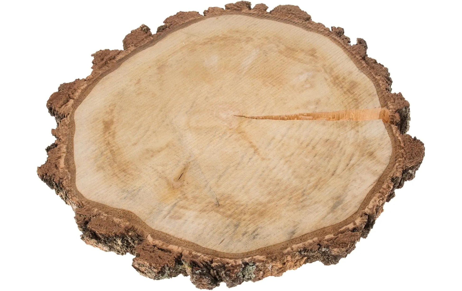 Opiflor Holzrohling, Birke, Natur, Ø 40 cm × 4 cm, 1 Stk.