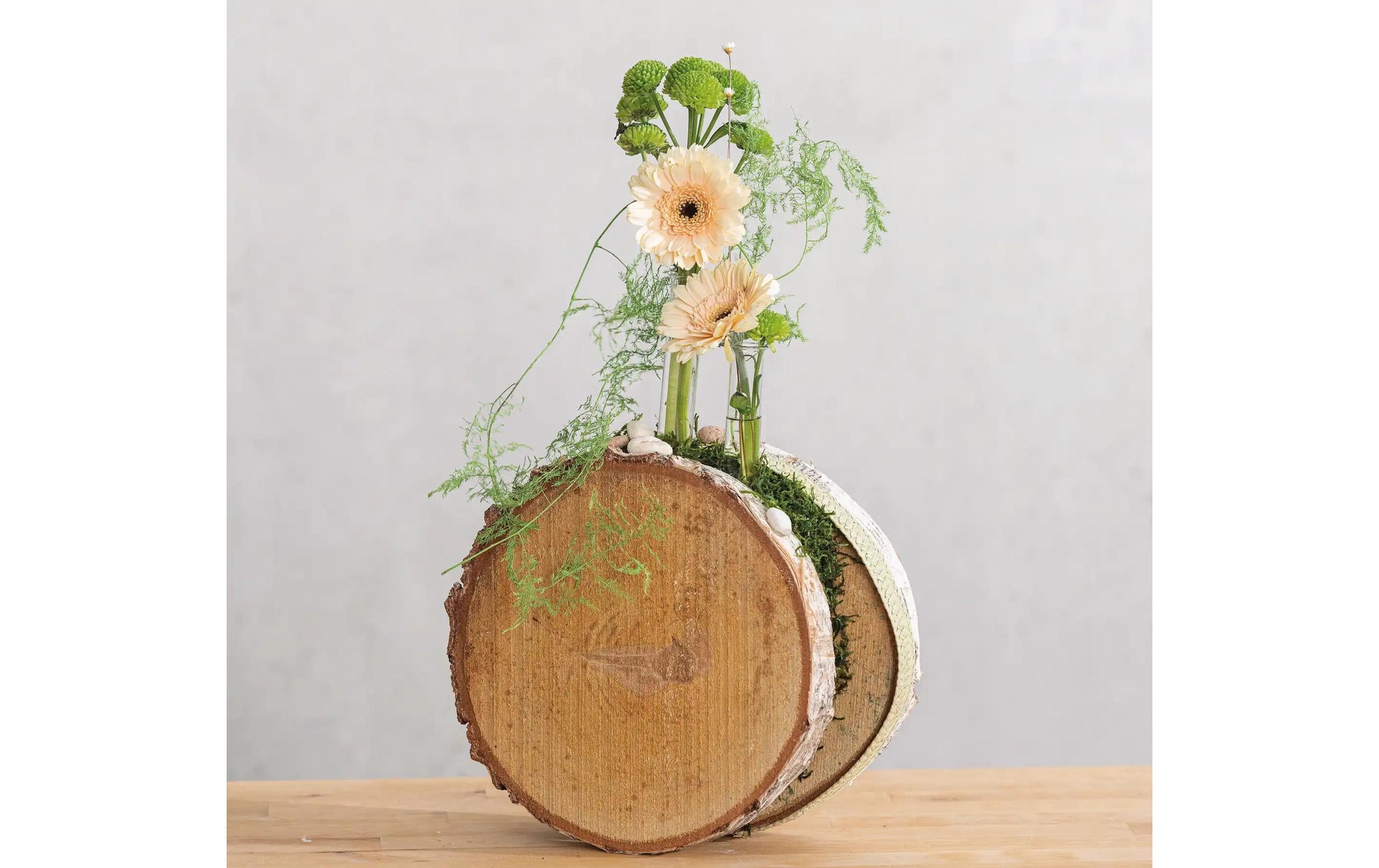 Opiflor Holzrohling, Birke, Natur, Ø 30 cm × 3,5 cm, 1 Stk., rund