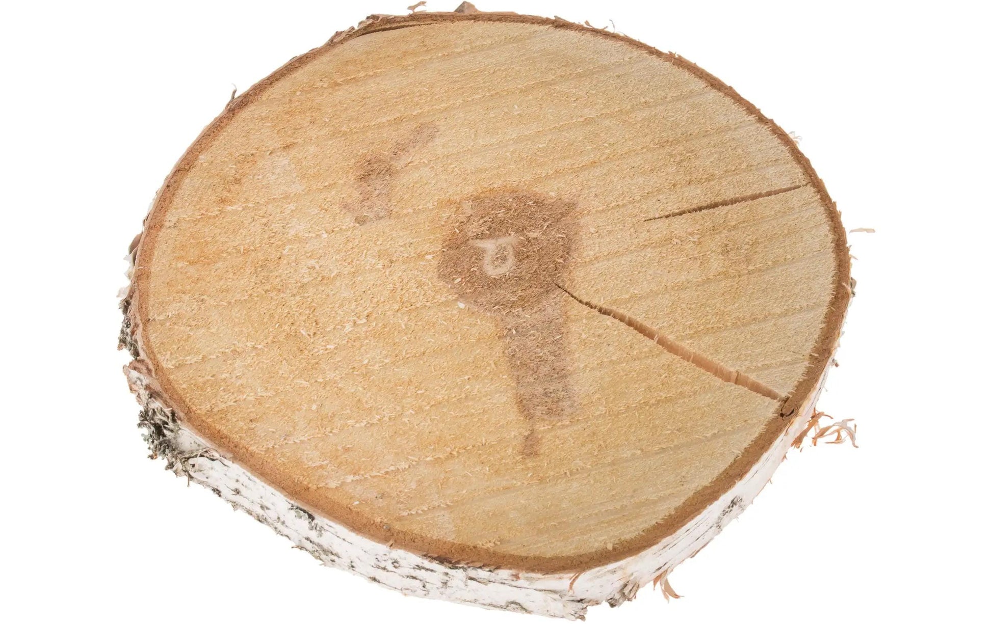 Opiflor Holzrohling, Birke, Natur, Ø 30 cm × 3,5 cm, 1 Stk., rund