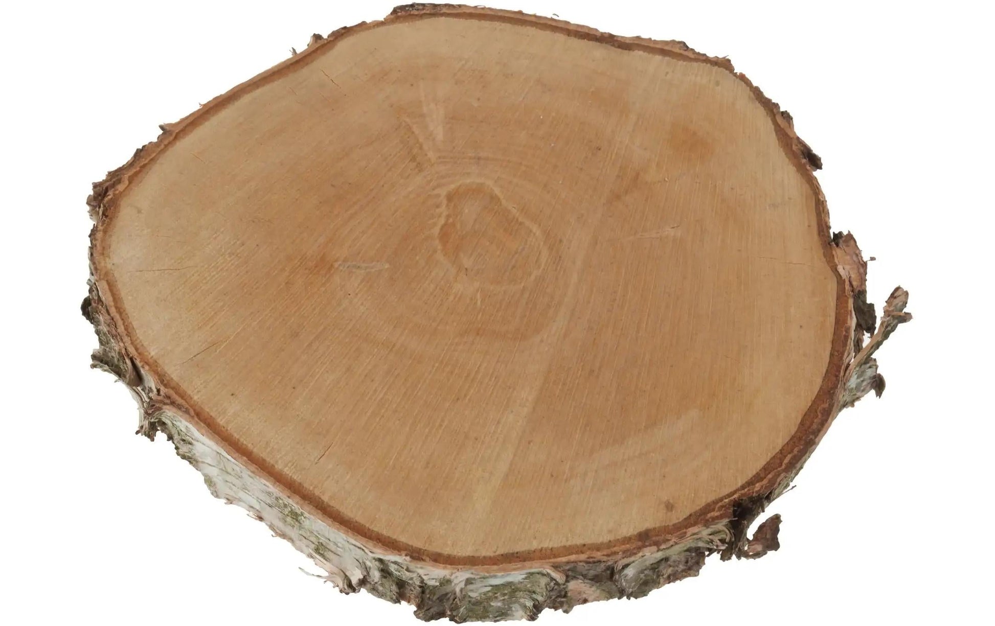 Opiflor Holzrohling, Birke, Natur, Ø 30 cm × 3,5 cm, 1 Stk., rund