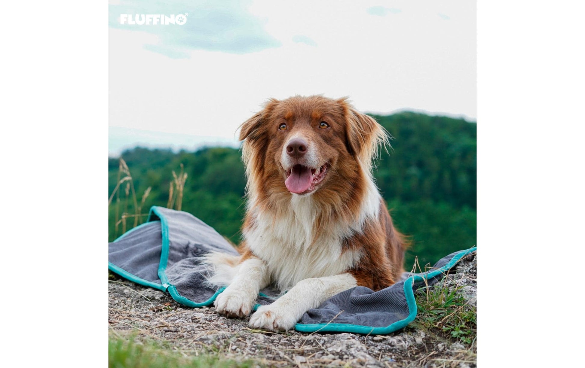 Fluffino Wohndecke – Grau – 100 × 150 cm