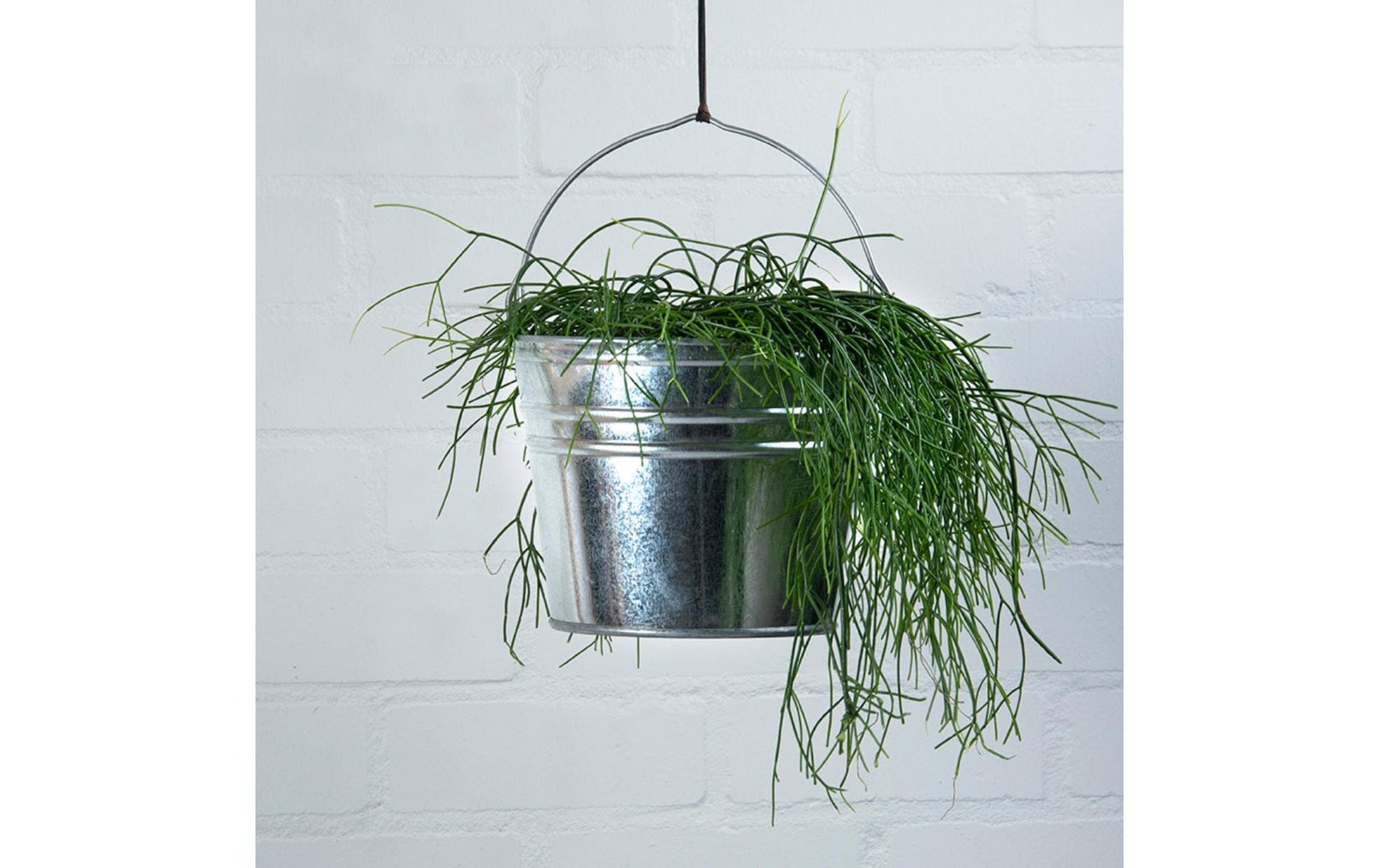Esschert Design Putzeimer Zinkeimer M – 6,9 l – Zink – Silber