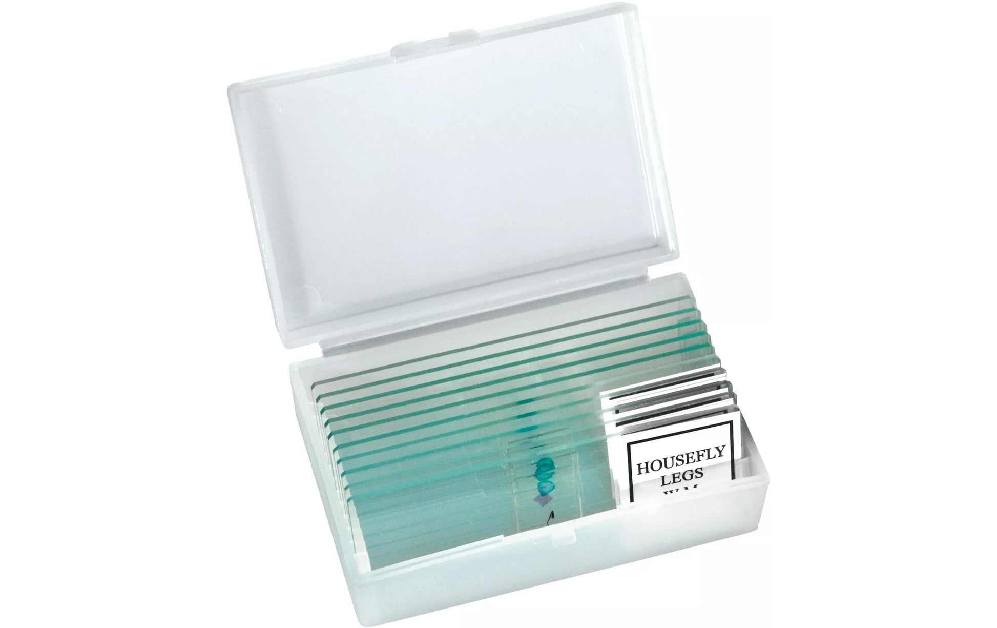 National Geographic Mikroskop-Bausatz – BR-9039001, 40–1280×, LED-Beleuchtung, ab 6 Jahren