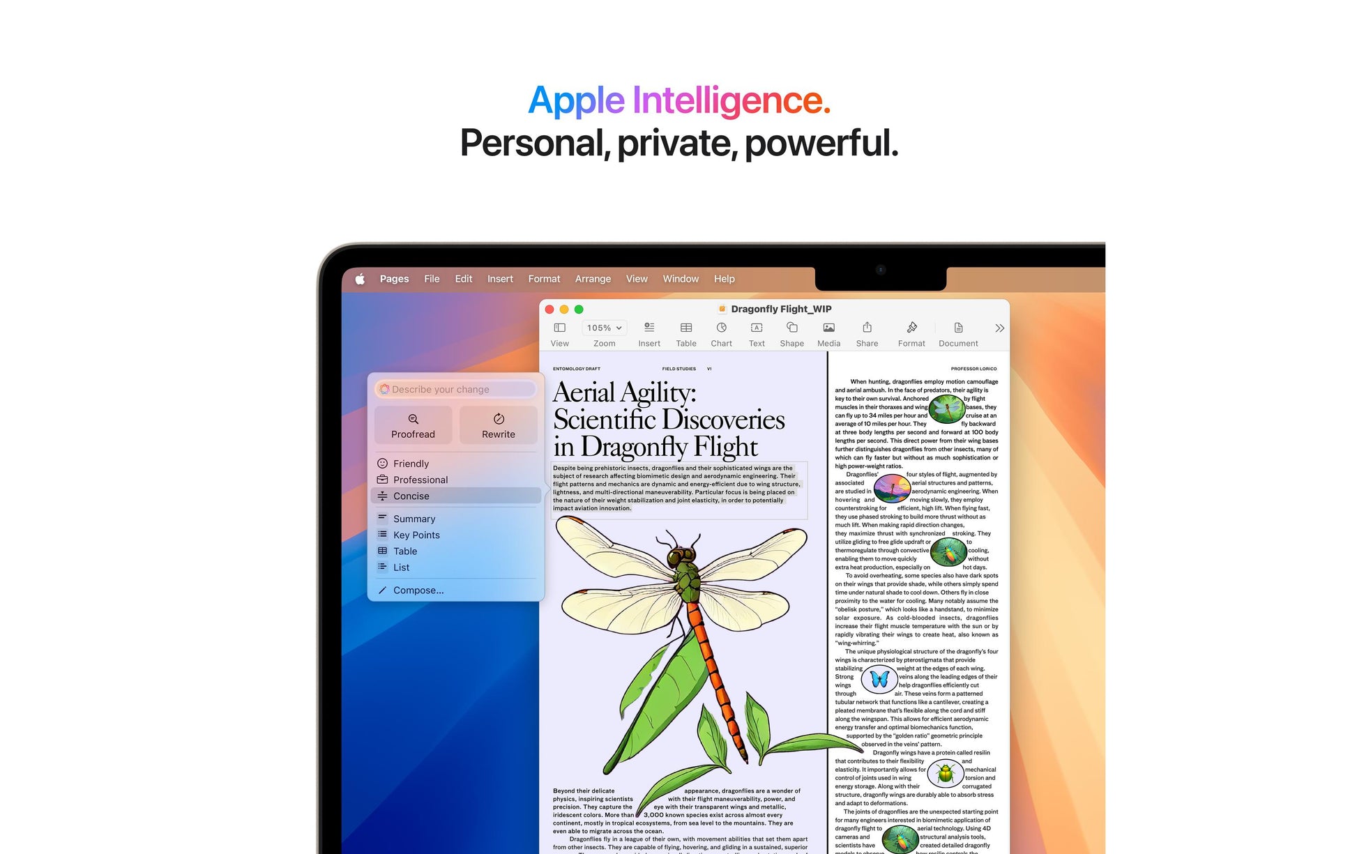 Apple MacBook Air 13,6" (M4) Laptop – Wi‑Fi, Bluetooth, Thunderbolt 4 – Netzstrom 100–240 V