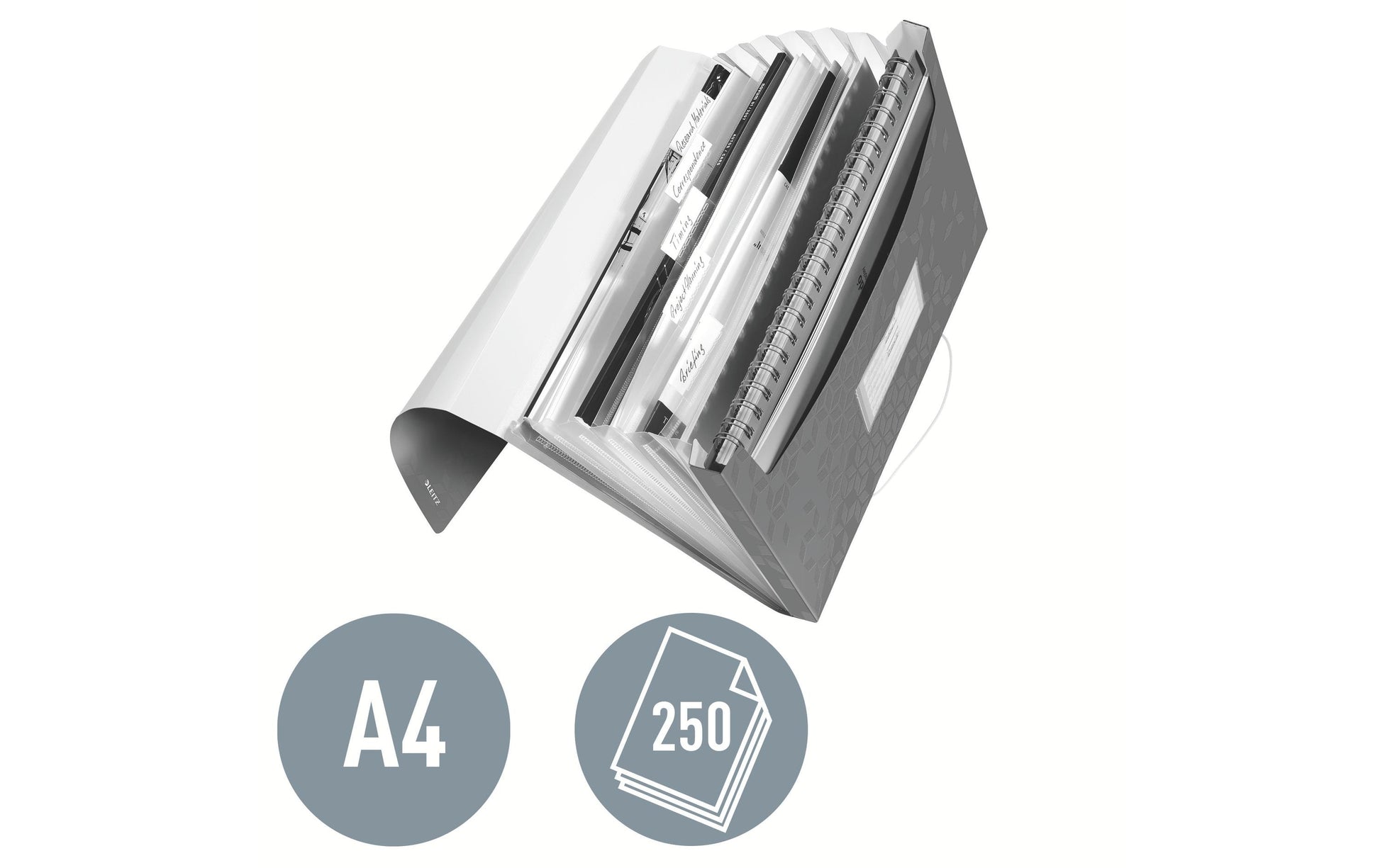 Leitz Sammelmappe für A4, Kunststoff, grün