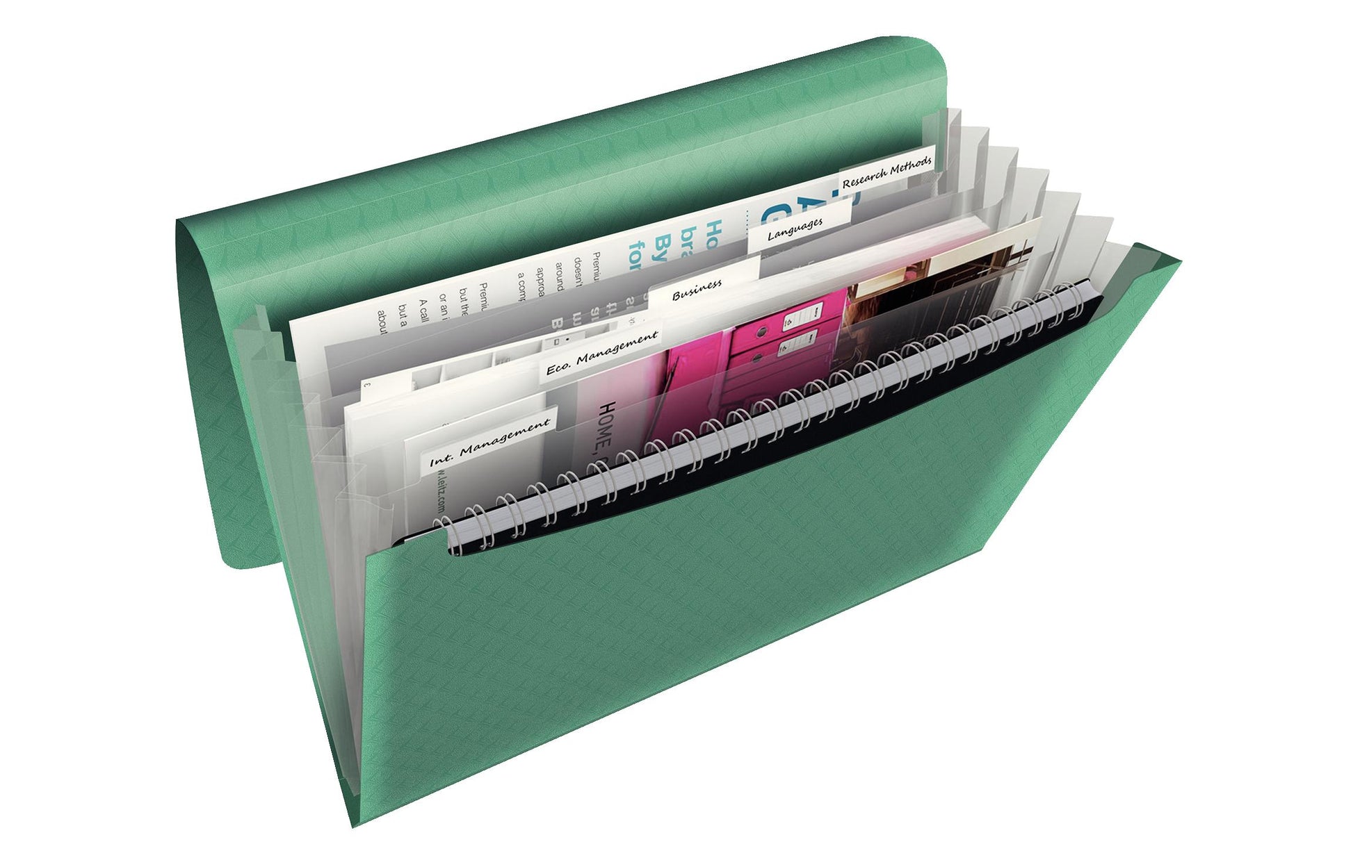 Esselte Colour'ICE A4 Fächermappe – 6 Fächer, Gummiband, Polypropylen (PP), Grün