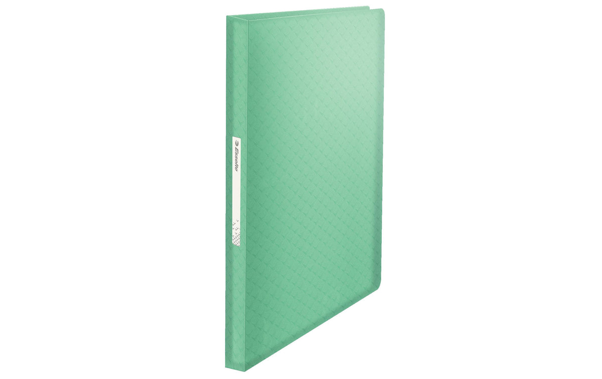 Esselte Colour'ICE Sichtbuch, für A4, 80 Blatt – Polypropylen (PP) – Grün