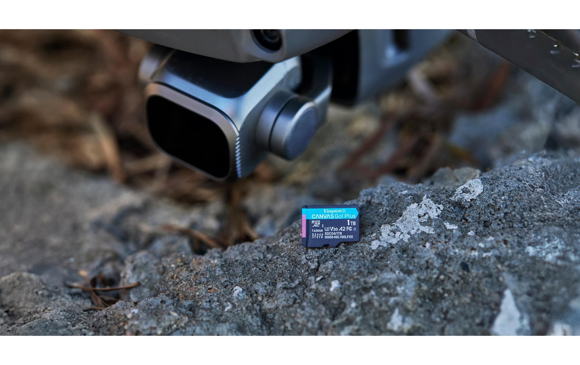 Kingston Technology Kingston Canvas Go Plus 200R Speichergerät – 1 TB, microSDXC, A2 U3 Gen4
