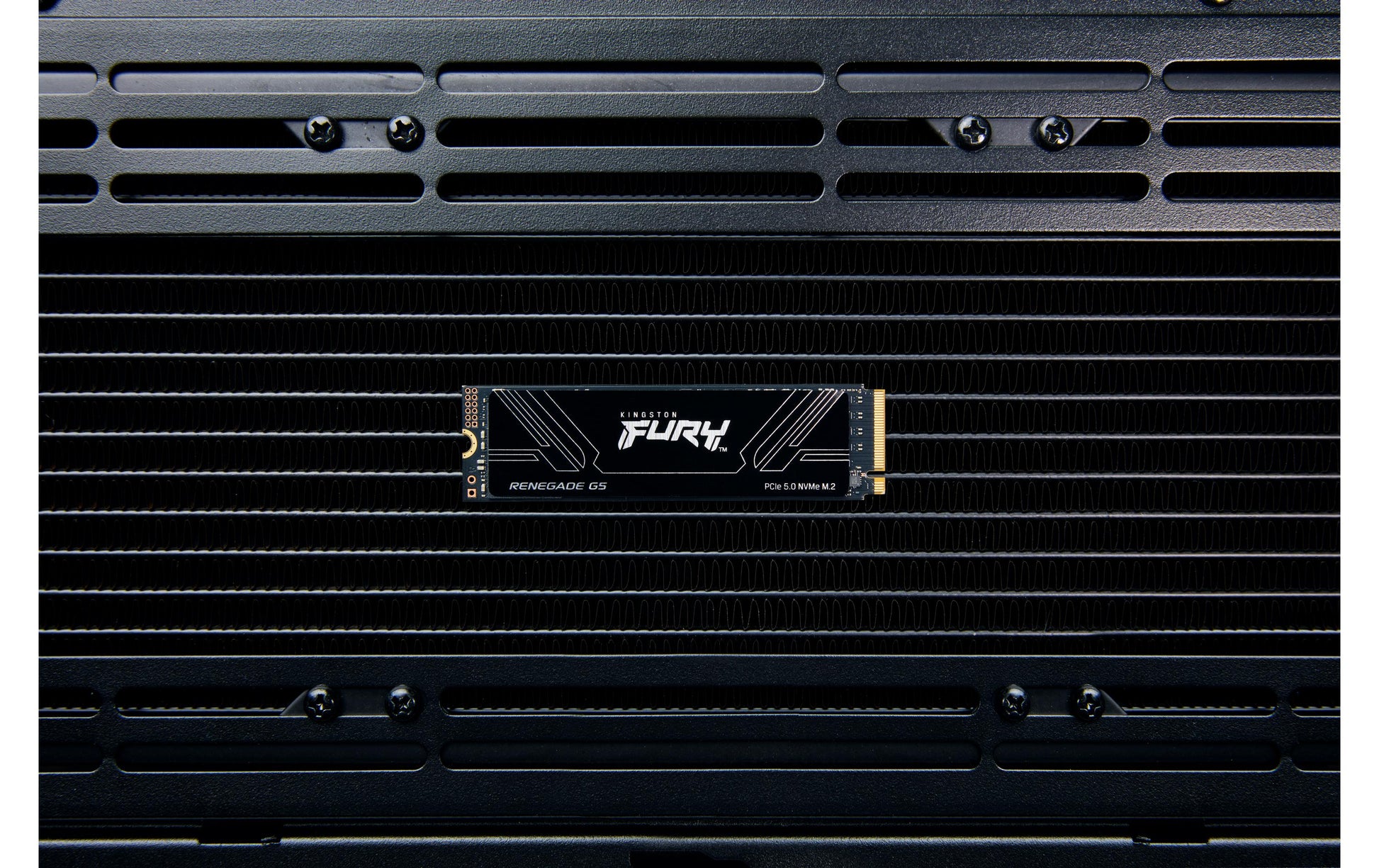 Kingston Technology Kingston Fury Renegade G5 M.2 2280 NVMe SSD – 2,05 TB, PCIe 5.0, 14'700 MB/s Lesen
