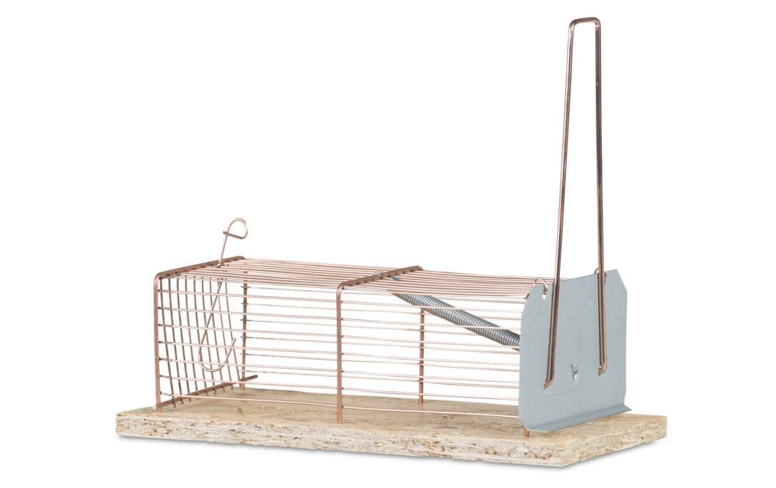 Windhager Insektenfalle – 7 × 5 cm – silber – für Mäuse, Ratten