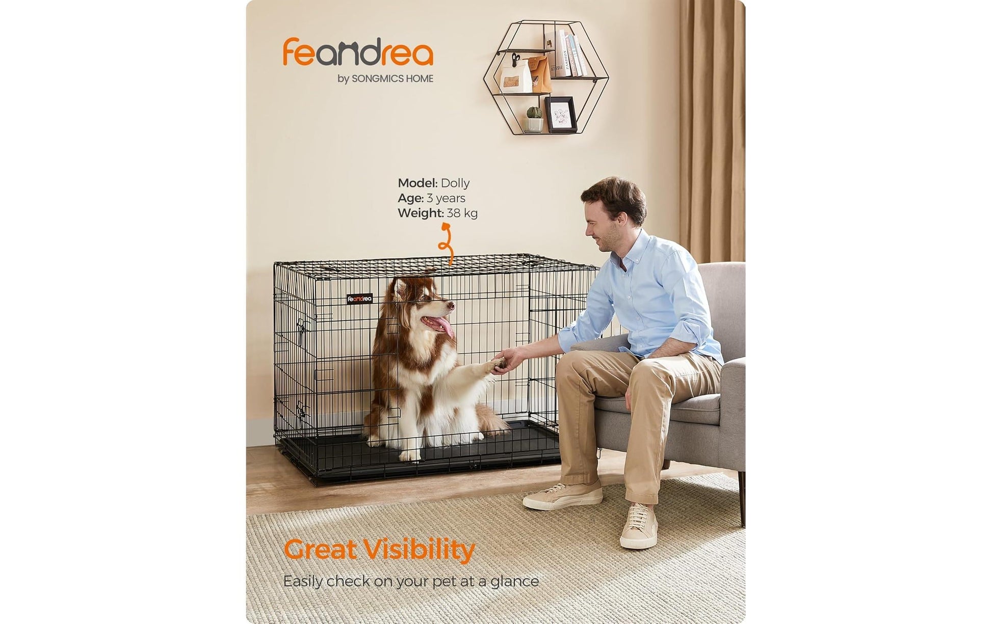 Feandrea Transportbox für Hunde – verschliessbar, Front- & Seitenbeladung, bis 50 kg – 1220×805×745 mm – sch
