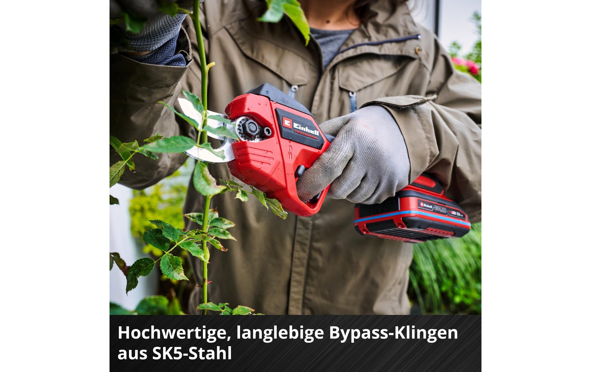 Einhell professional Einhell GP-LS 18/28 Li BL Akku-Astschere, bürstenlos – 18 V – Schnittbreite 28 mm – Solo – Power X-Change