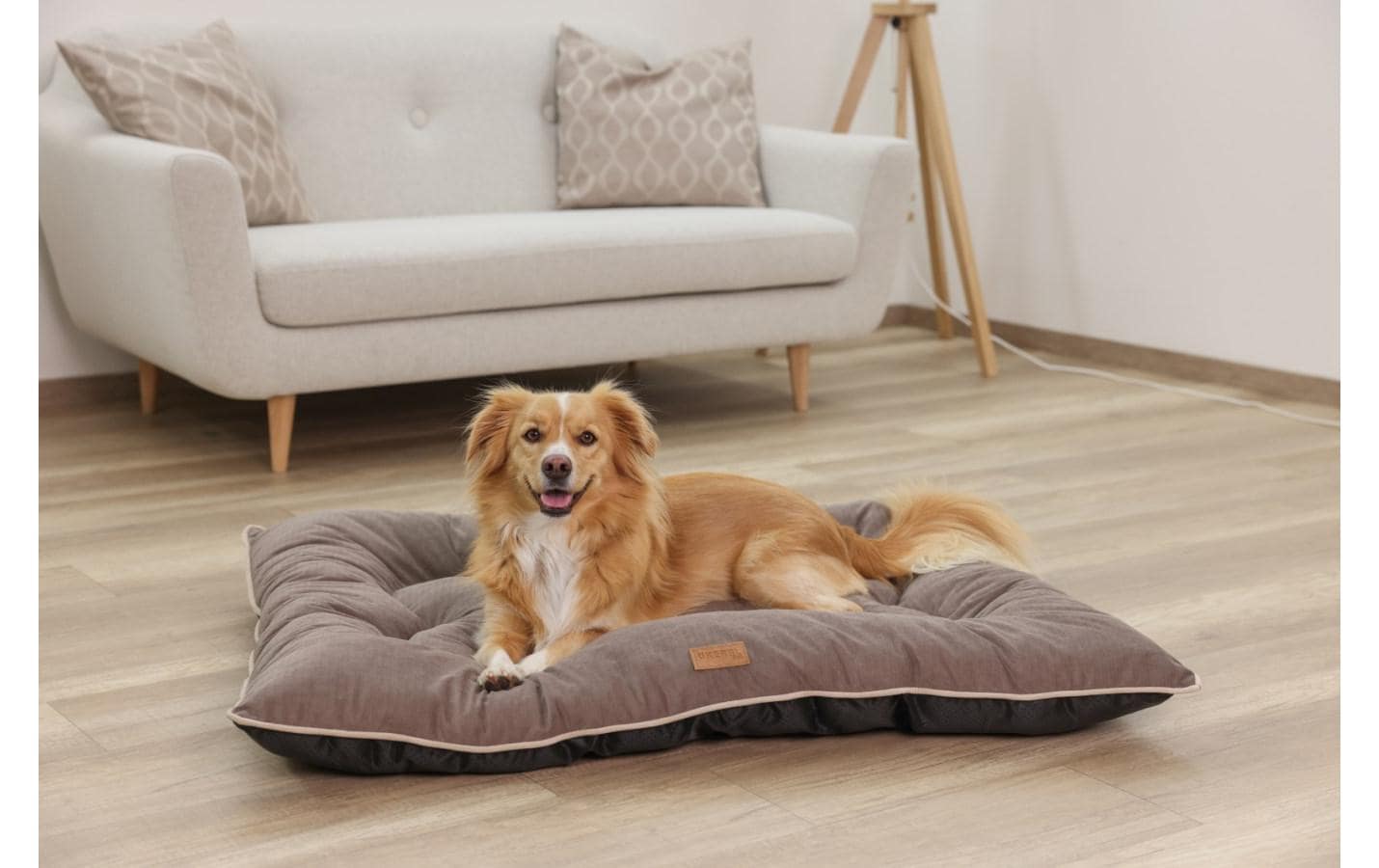 Kerbl Benno Hundekissen – 75 × 100 × 12 cm, Polyesterbezug, abnehmbarer Bezug, Anti-Rutsch-Basis, Braun