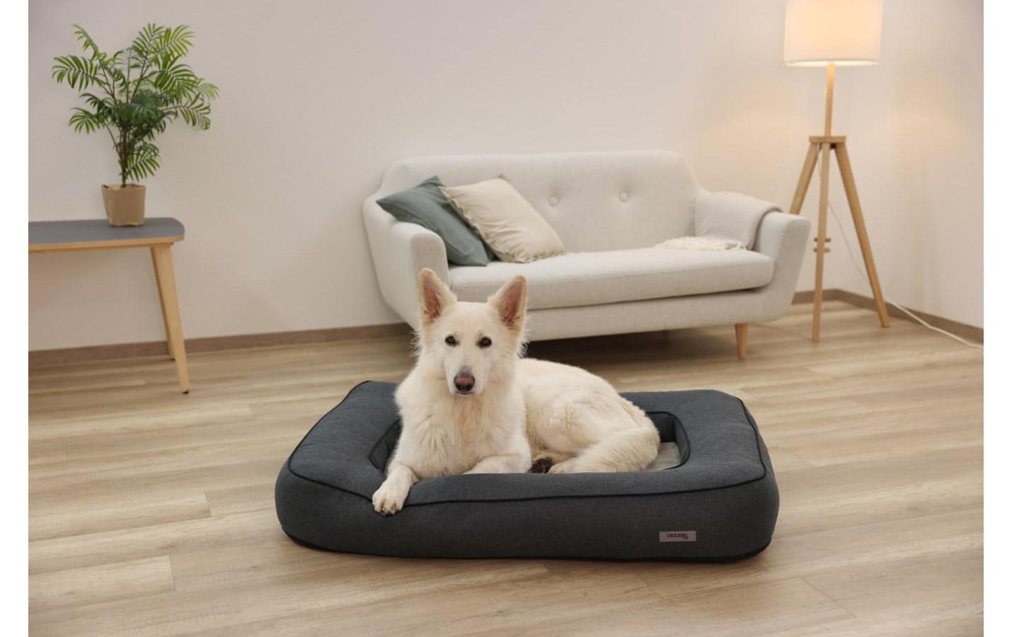 Kerbl Platin Ortho Hundebett – 70 × 100 × 18 cm, Schaumstoff, abnehmbarer Bezug, grau