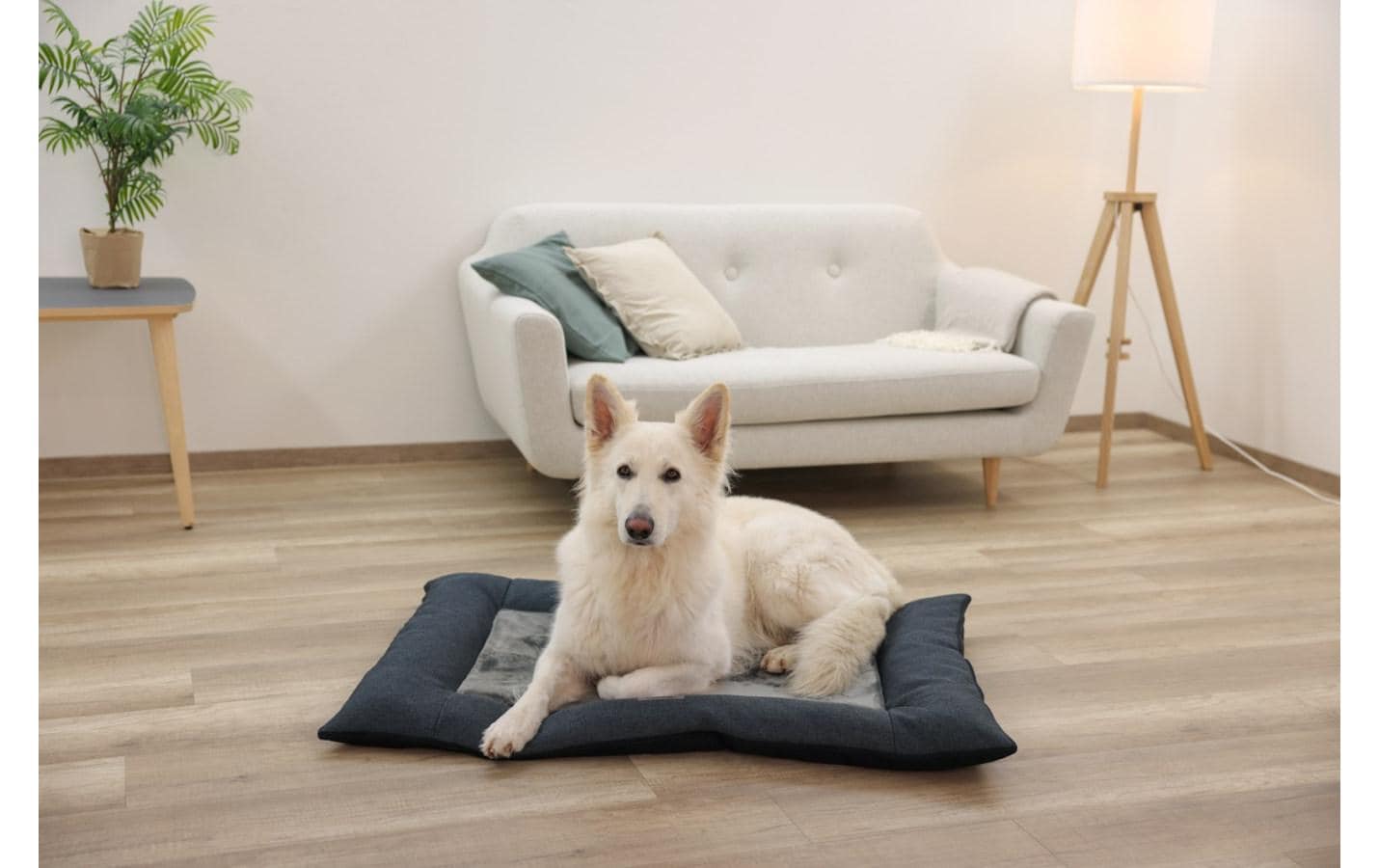 Kerbl Platin Ortho Hundekissen – 80 × 115 × 9 cm, Schaum, abnehmbarer Polyesterbezug, Grau