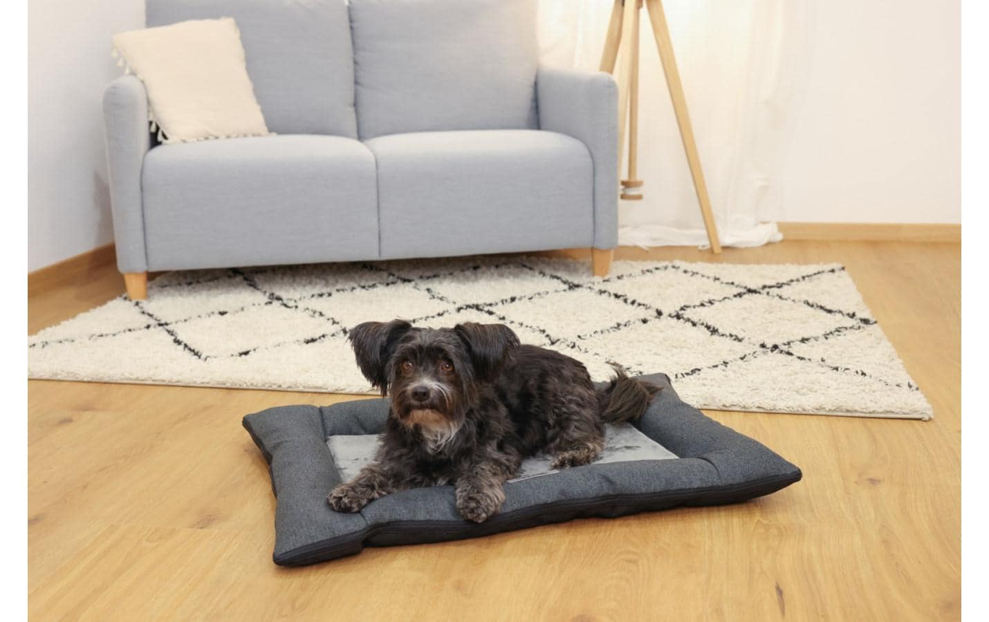 Kerbl Platin Ortho Hundekissen – 55 × 80 × 9 cm, Schaumstoff, Polyester-Bezug, abnehmbar, Anti-Rutsch-Basis
