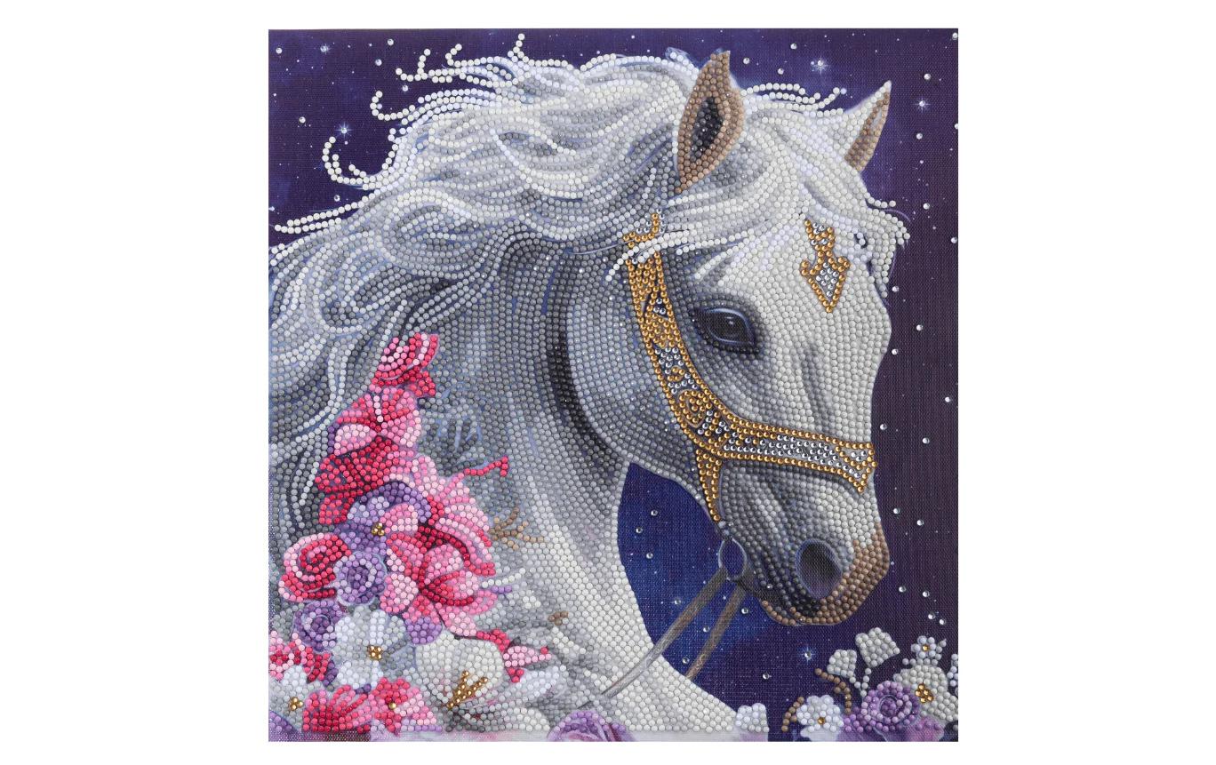 CRAFT Buddy Mystic Beauty – Diamond Painting Set – Pferd – 30 × 30 cm – ab 8 Jahren