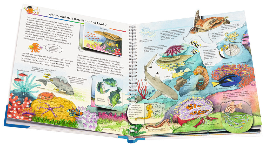 Ravensburger Buch – Wieso? Weshalb? Warum? – Meerestiere, Hardcover, 16 Seiten, Deutsch, ab 4 Jahren