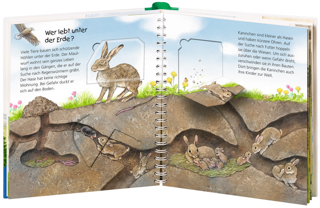 Ravensburger Buch – Wo die Tiere wohnen, Hardcover, 16 Seiten, Deutsch, 2–4 Jahre