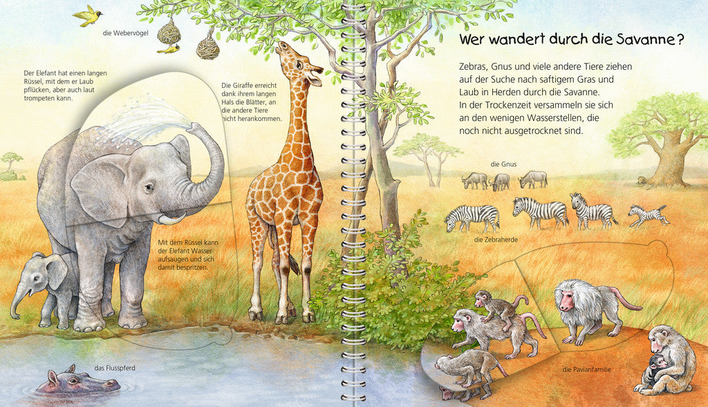 Ravensburger Buch – WWW Mein Junior-Lexikon: Tiere, Hardcover, 24 Seiten, Deutsch, 2–4 Jahre