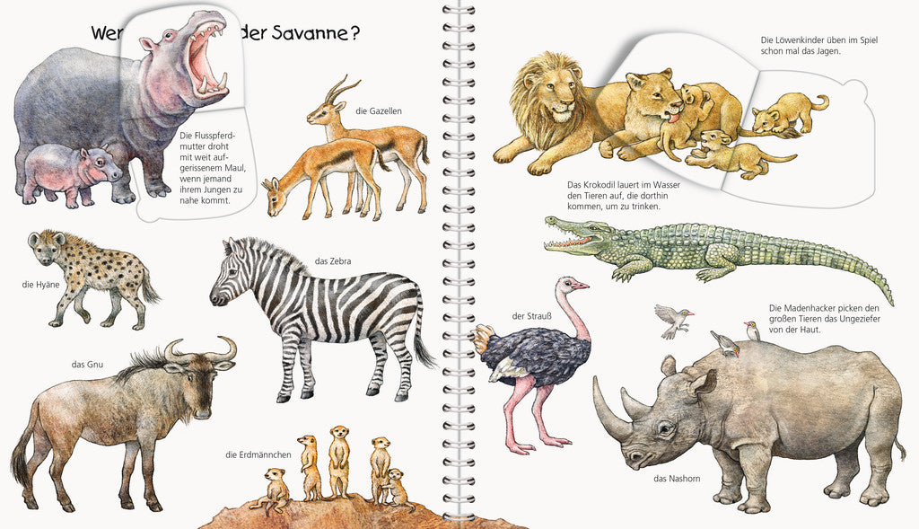 Ravensburger Buch – WWW Mein Junior-Lexikon: Tiere, Hardcover, 24 Seiten, Deutsch, 2–4 Jahre