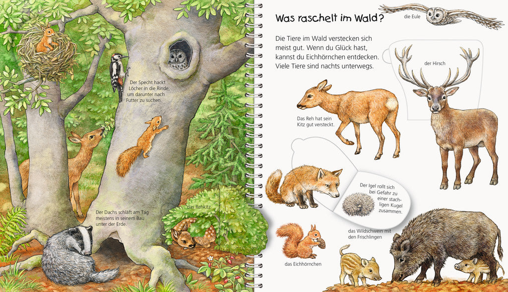 Ravensburger Buch – WWW Mein Junior-Lexikon: Tiere, Hardcover, 24 Seiten, Deutsch, 2–4 Jahre