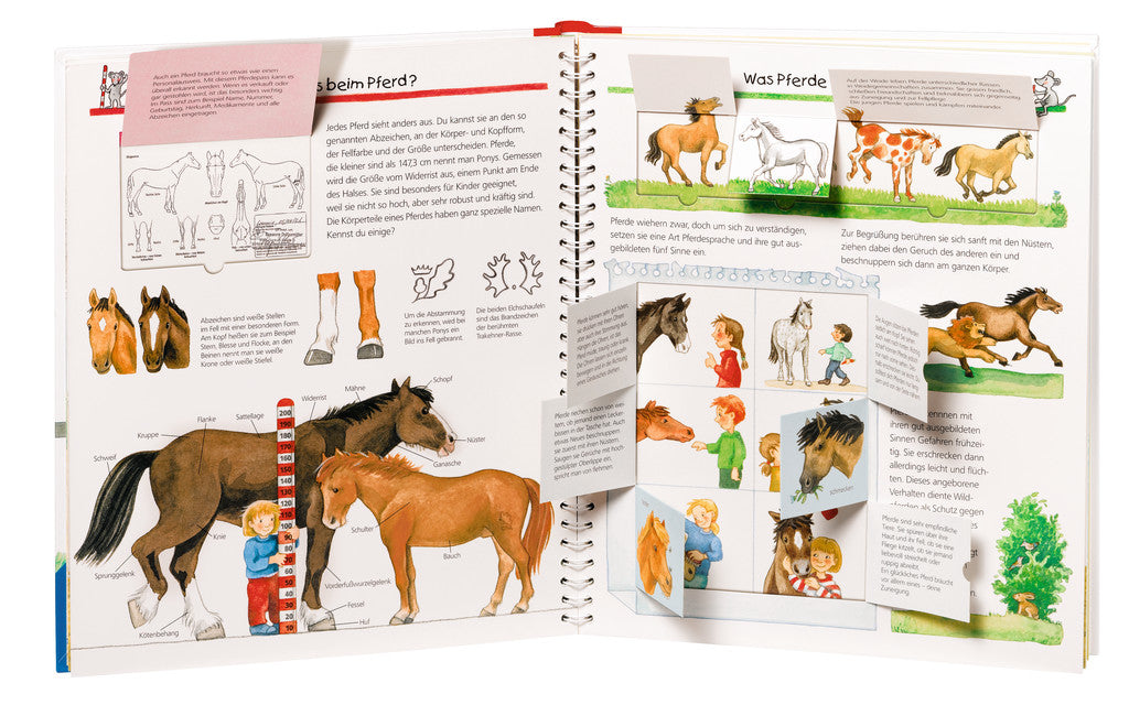 Ravensburger Buch – Wieso? Weshalb? Warum? – Alles über Pferde & Ponys, Spiralbindung, 16 Seiten, ab 4 Jahre
