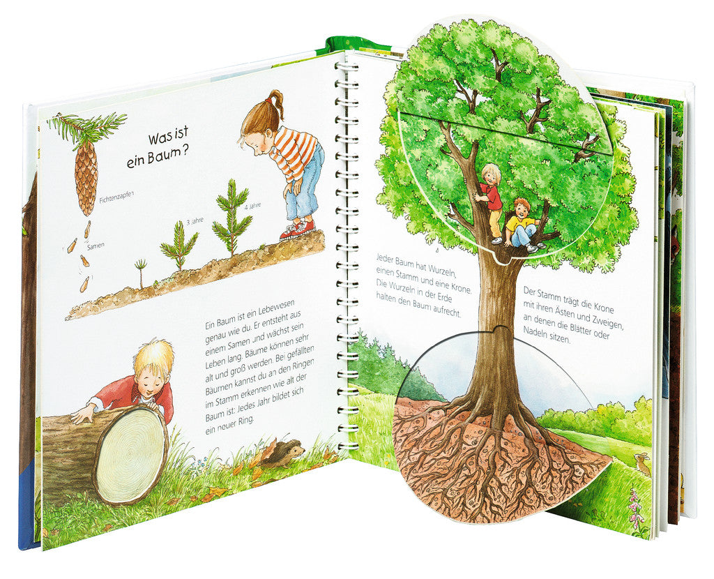Ravensburger Buch – WWWjun6: Der Wald, Hardcover, 16 Seiten, Deutsch, 2–4 Jahre