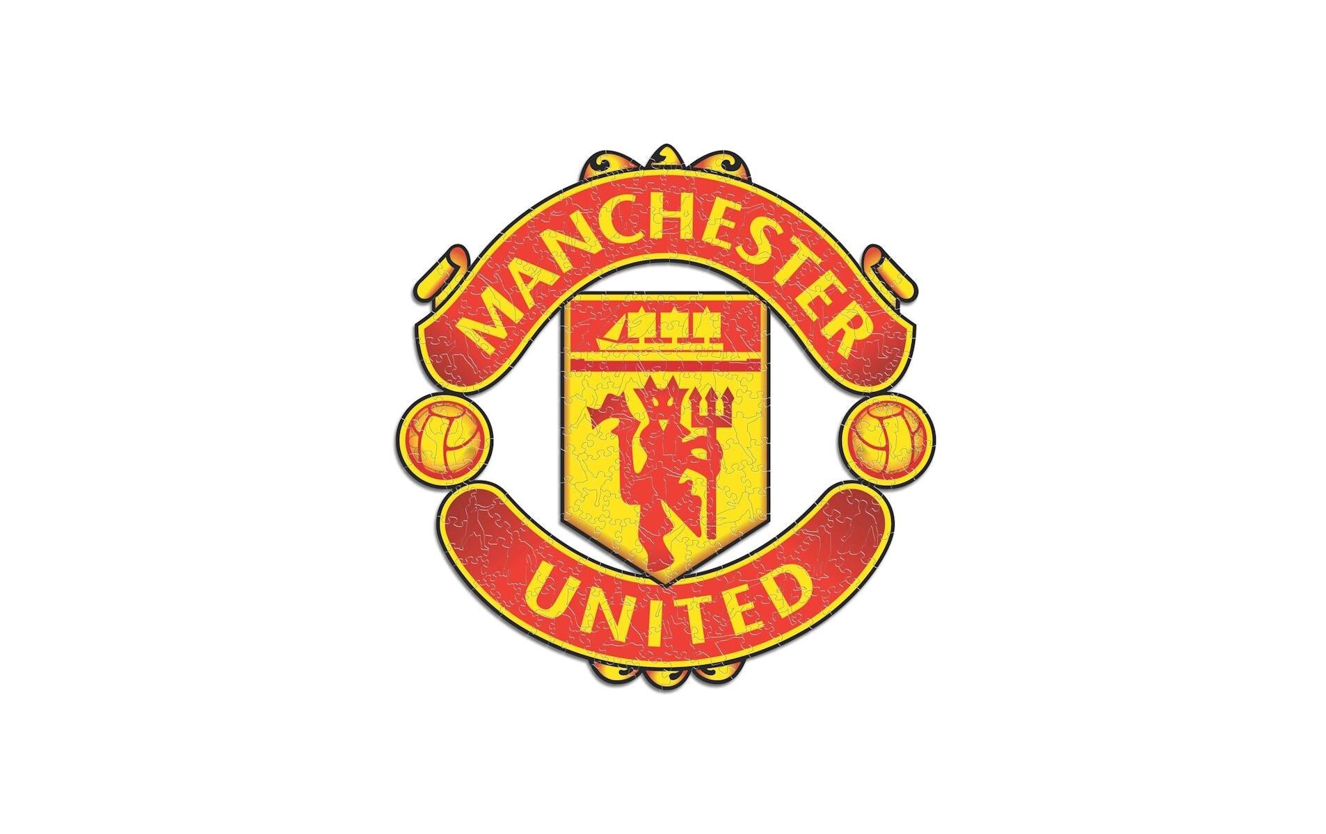 Iconic Puzzles Puzzle FC Manchester United – 270 Teile – 37,5 × 37,5 cm – ab 10 J. – Holz