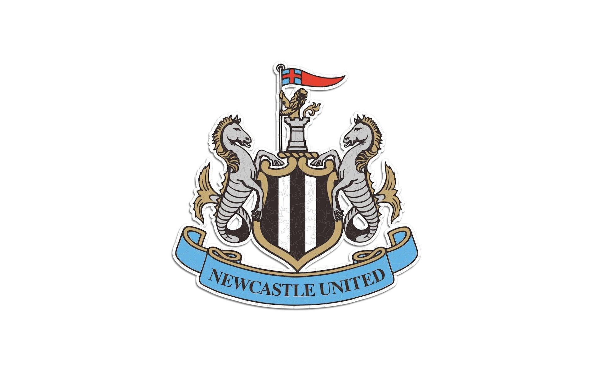 Iconic Puzzles Newcastle United FC - Logo – Logikspiel, 1 Spieler, ab 10 Jahren, mehrsprachig