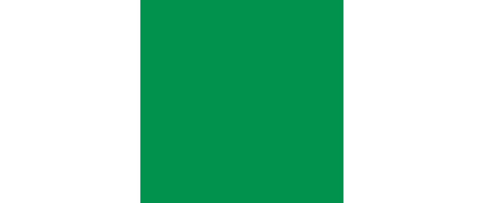 Cricut Aufbügelfolie (HTV), Vinyl, Grün, Metallic, 33 × 91,4 cm, 1 Rolle