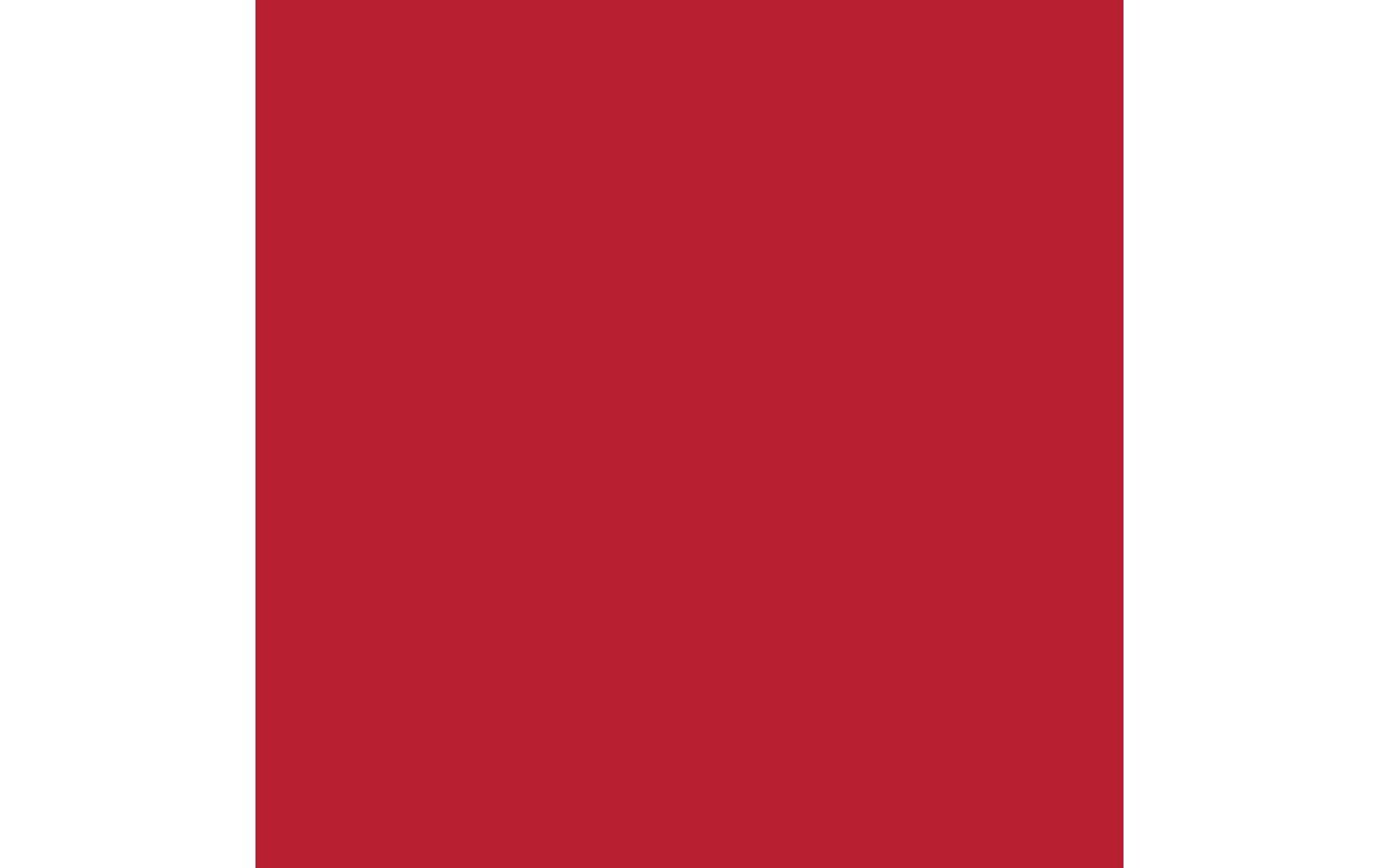 Cricut Aufbügelfolie Flex – 33 × 91,4 cm, Rot – 1 Rolle, Vinylfolie, Smart