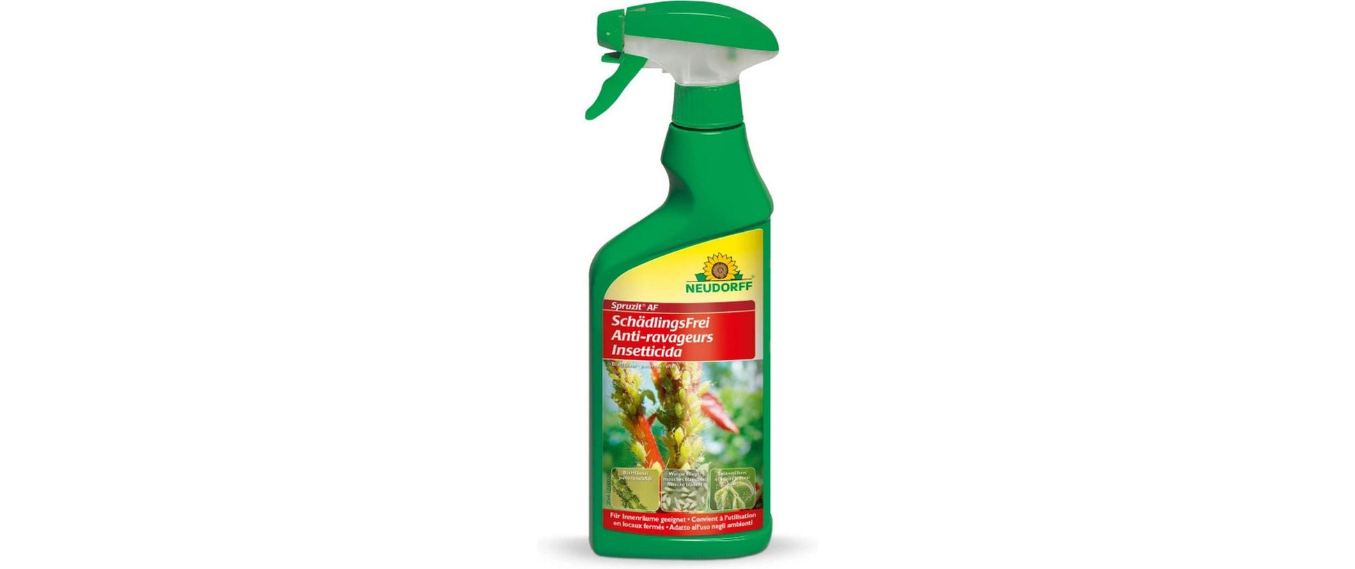 Neudorff Holzwurmschutz – 500 ml – für Insekten